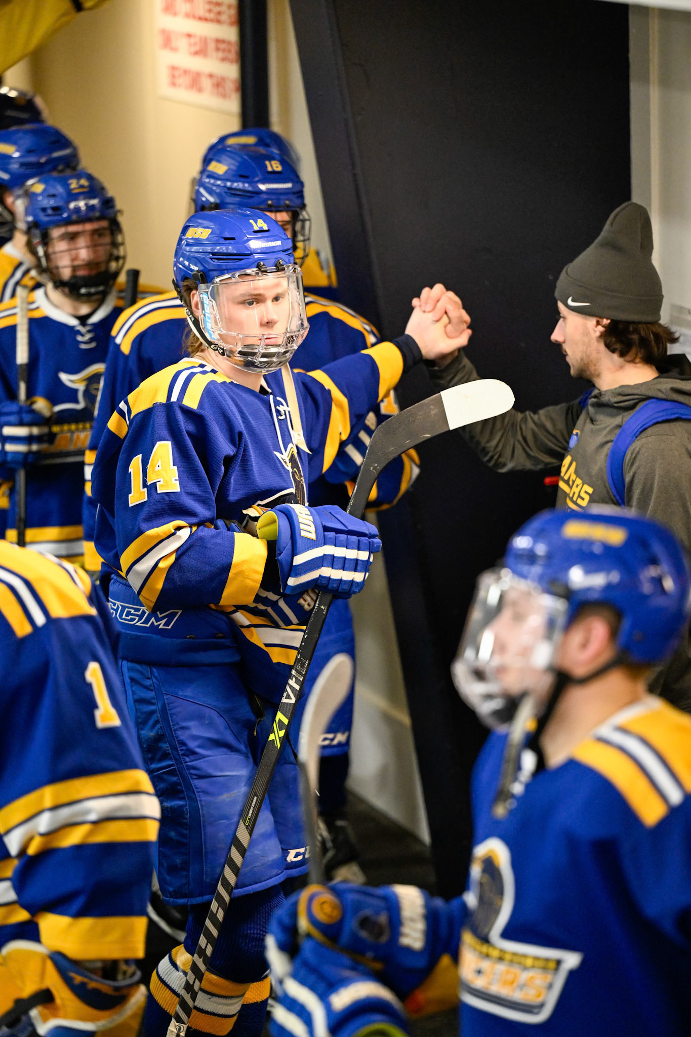 WSU Men's Ice Hockey
