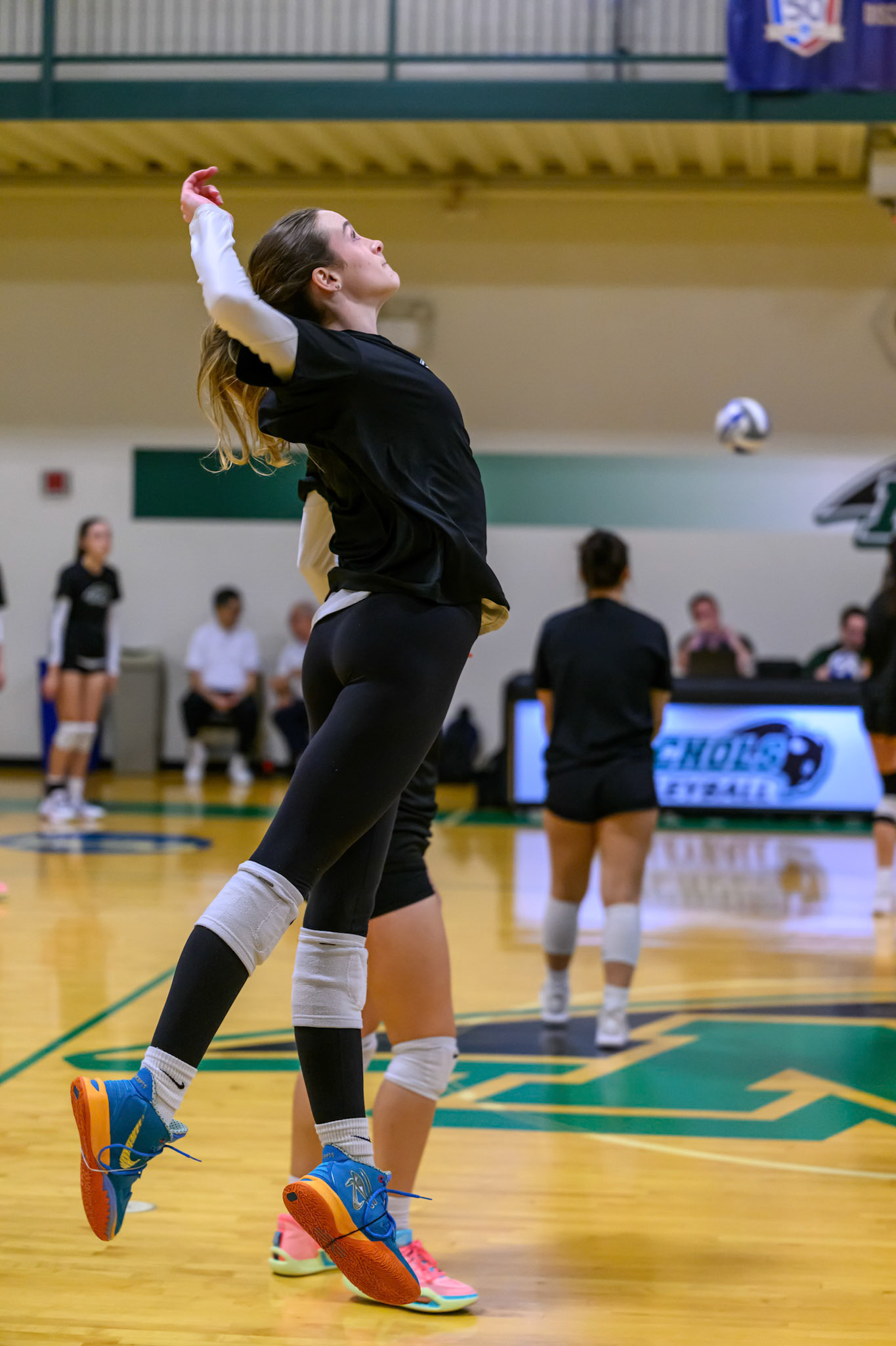 Nichols Volleyball