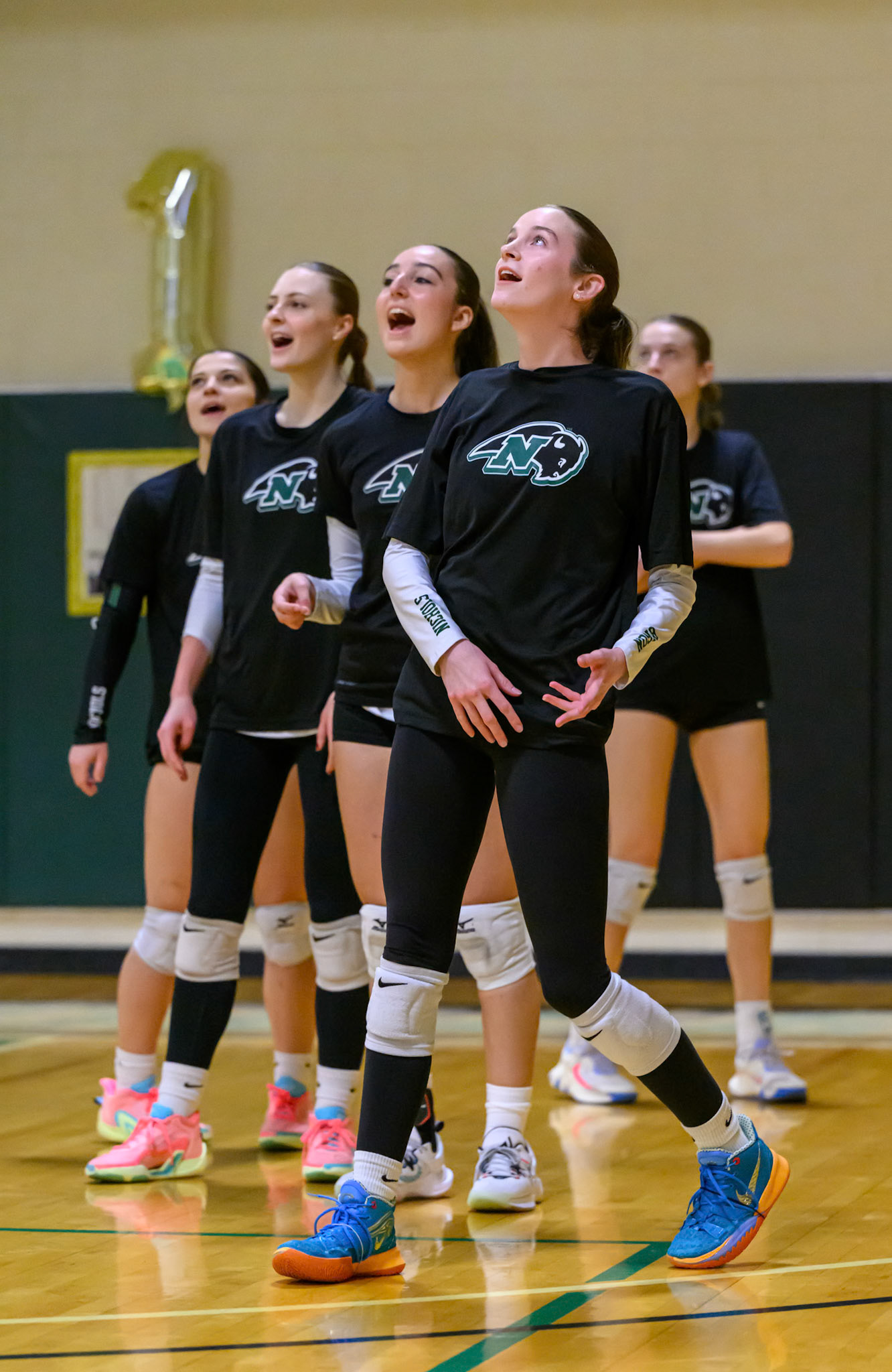 Nichols Volleyball