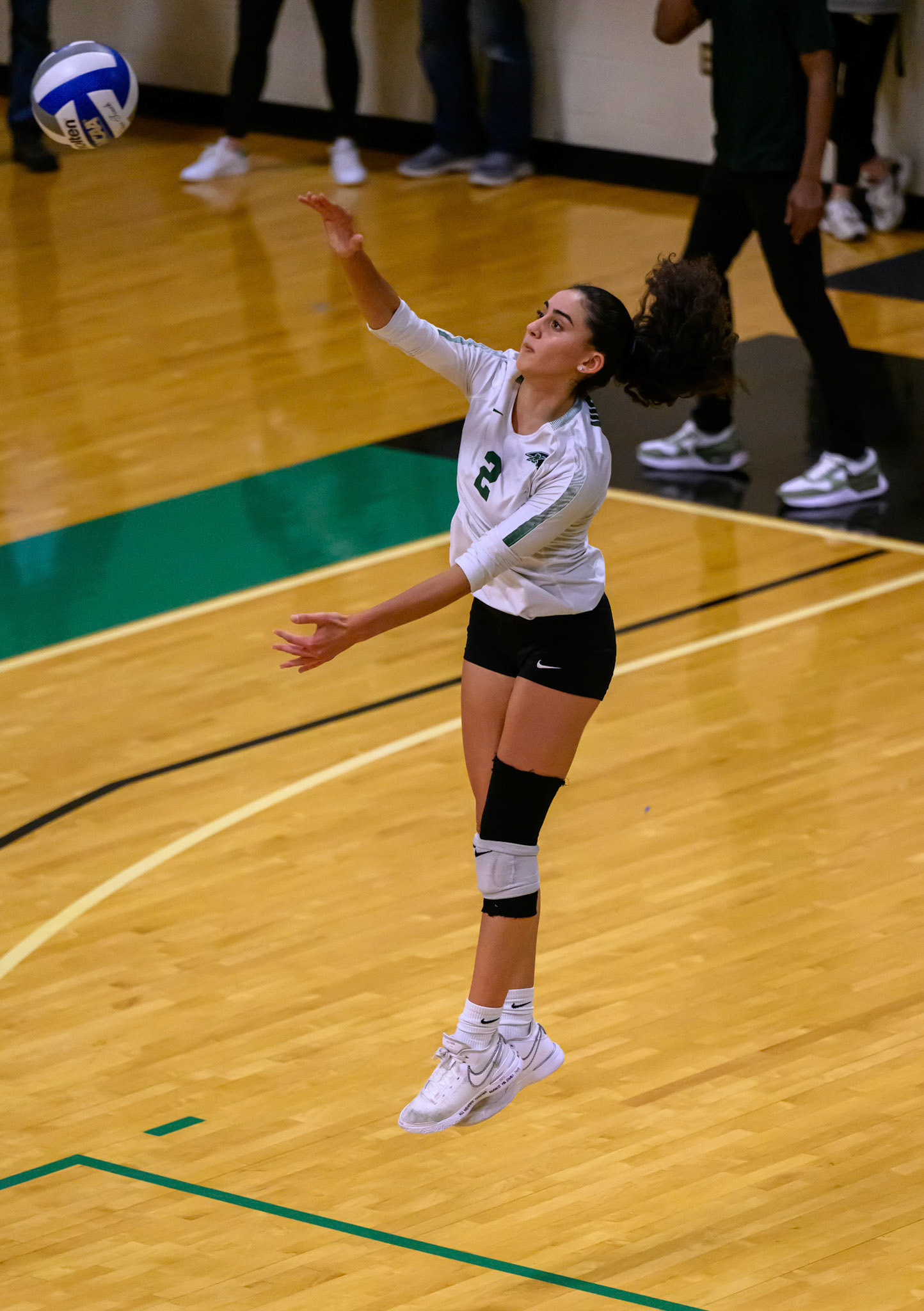 Nichols Volleyball