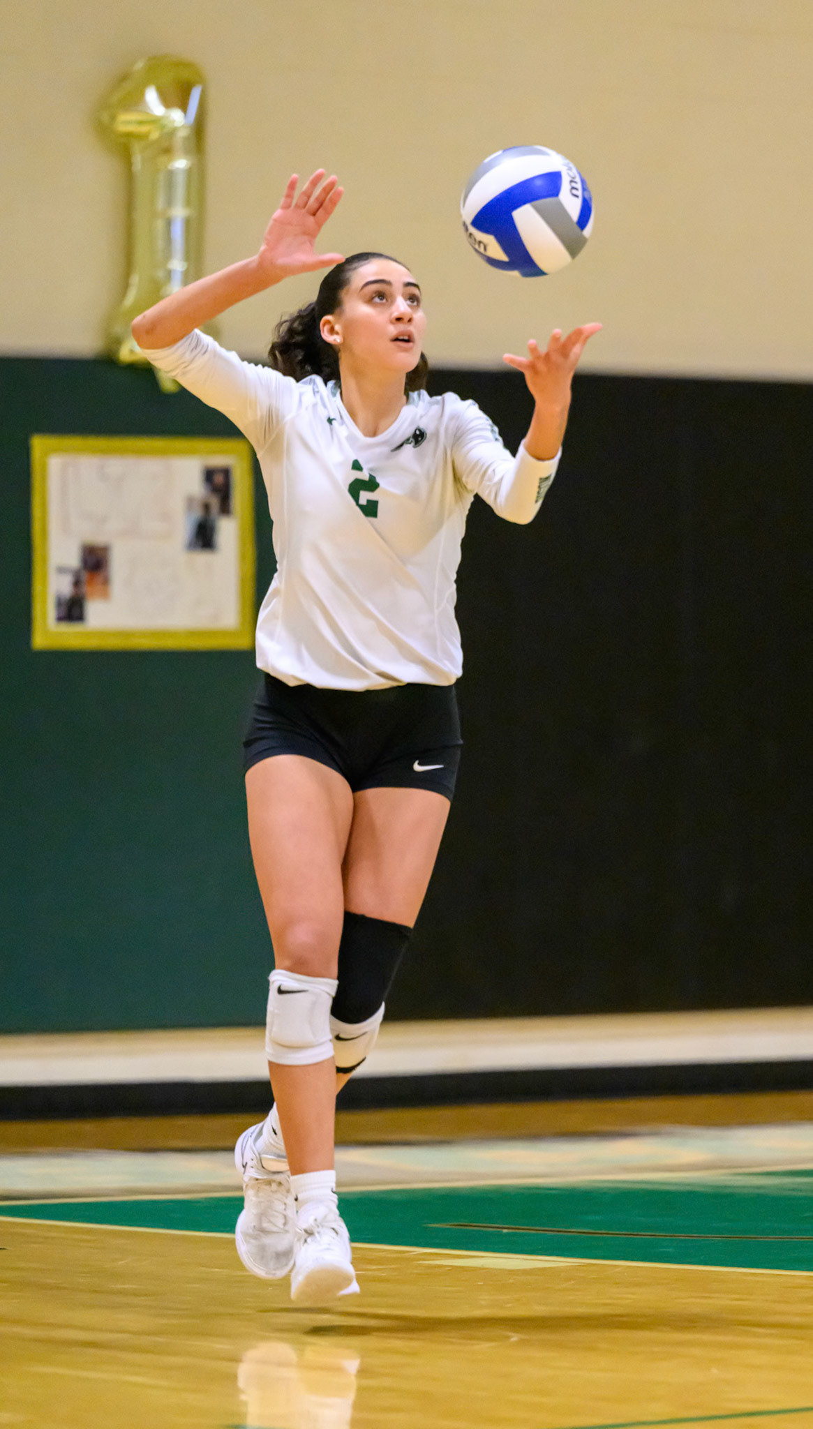 Nichols Volleyball