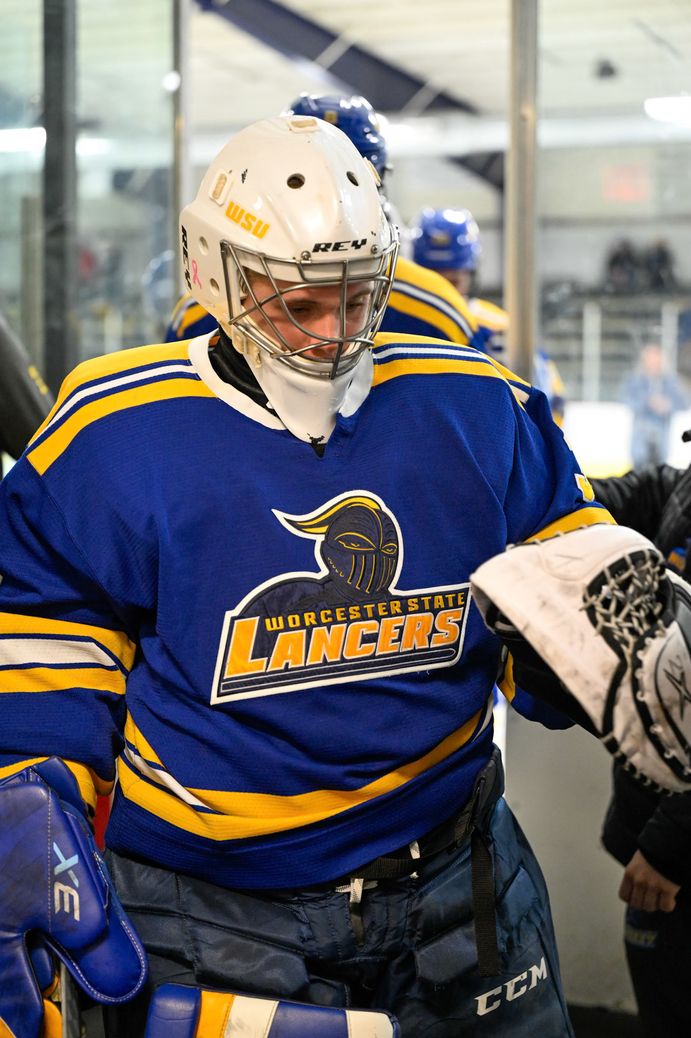 WSU Men's Ice Hockey
