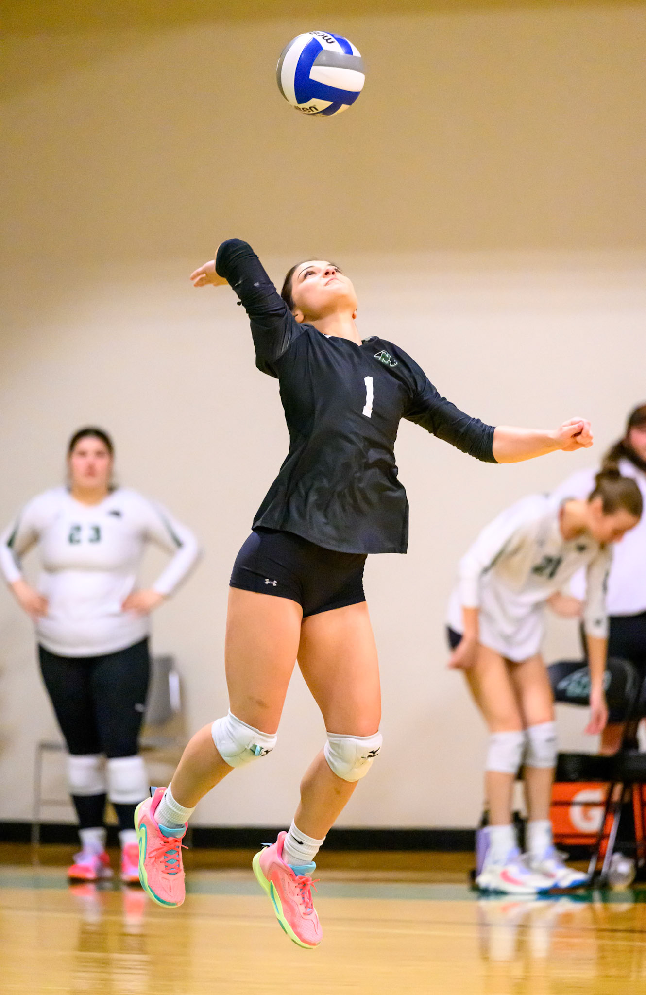 Nichols Volleyball