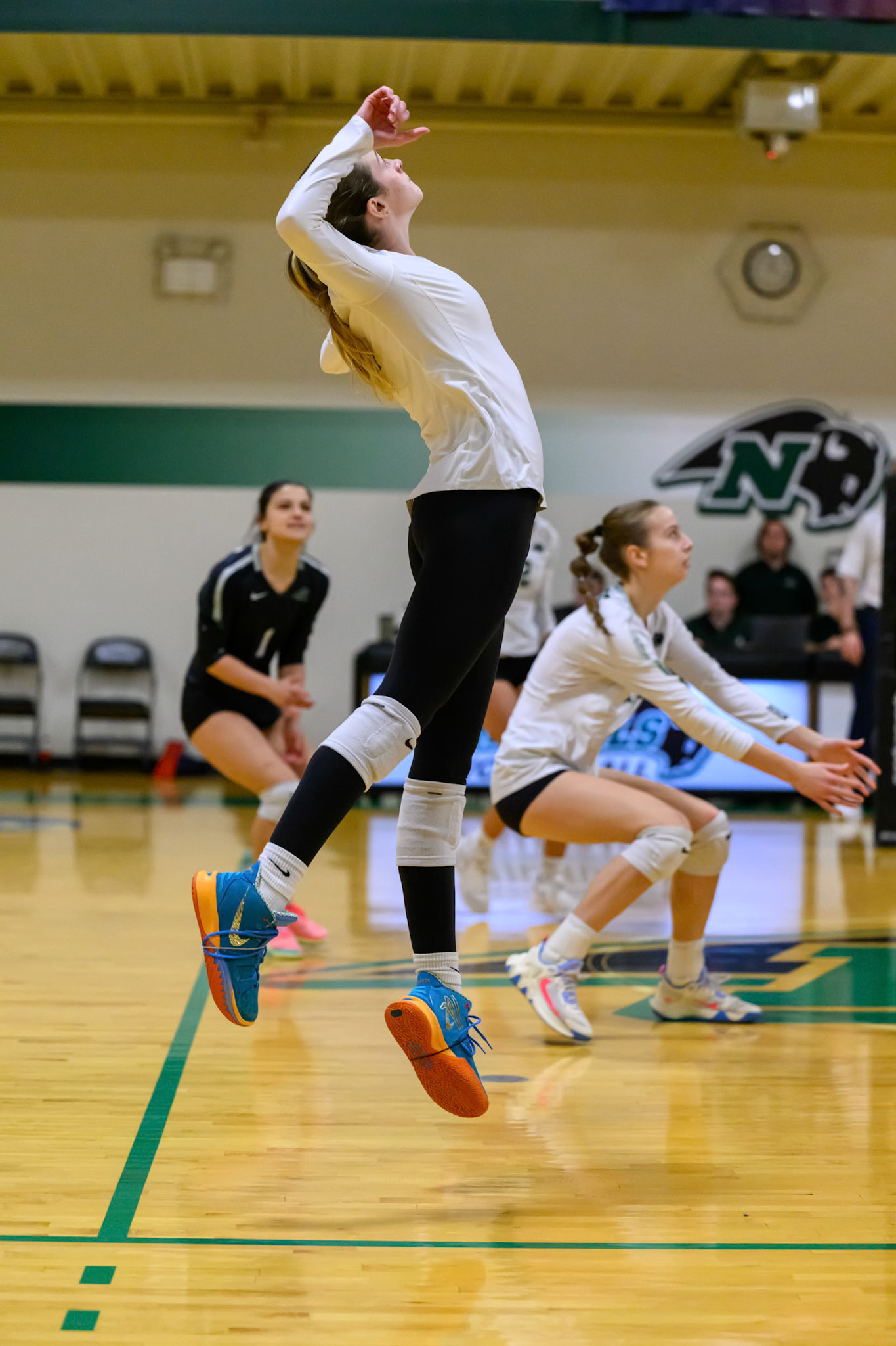 Nichols Volleyball