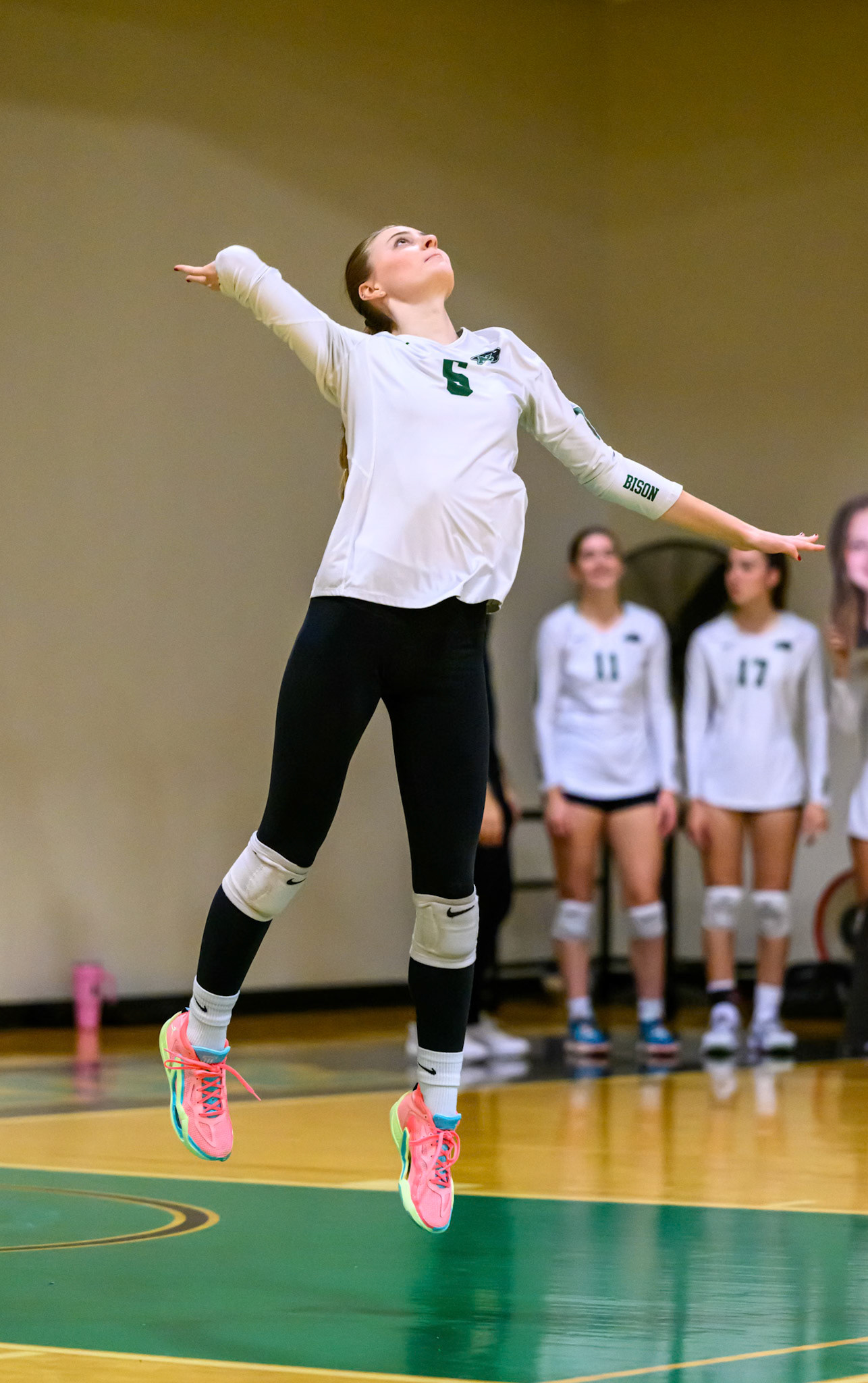 Nichols Volleyball