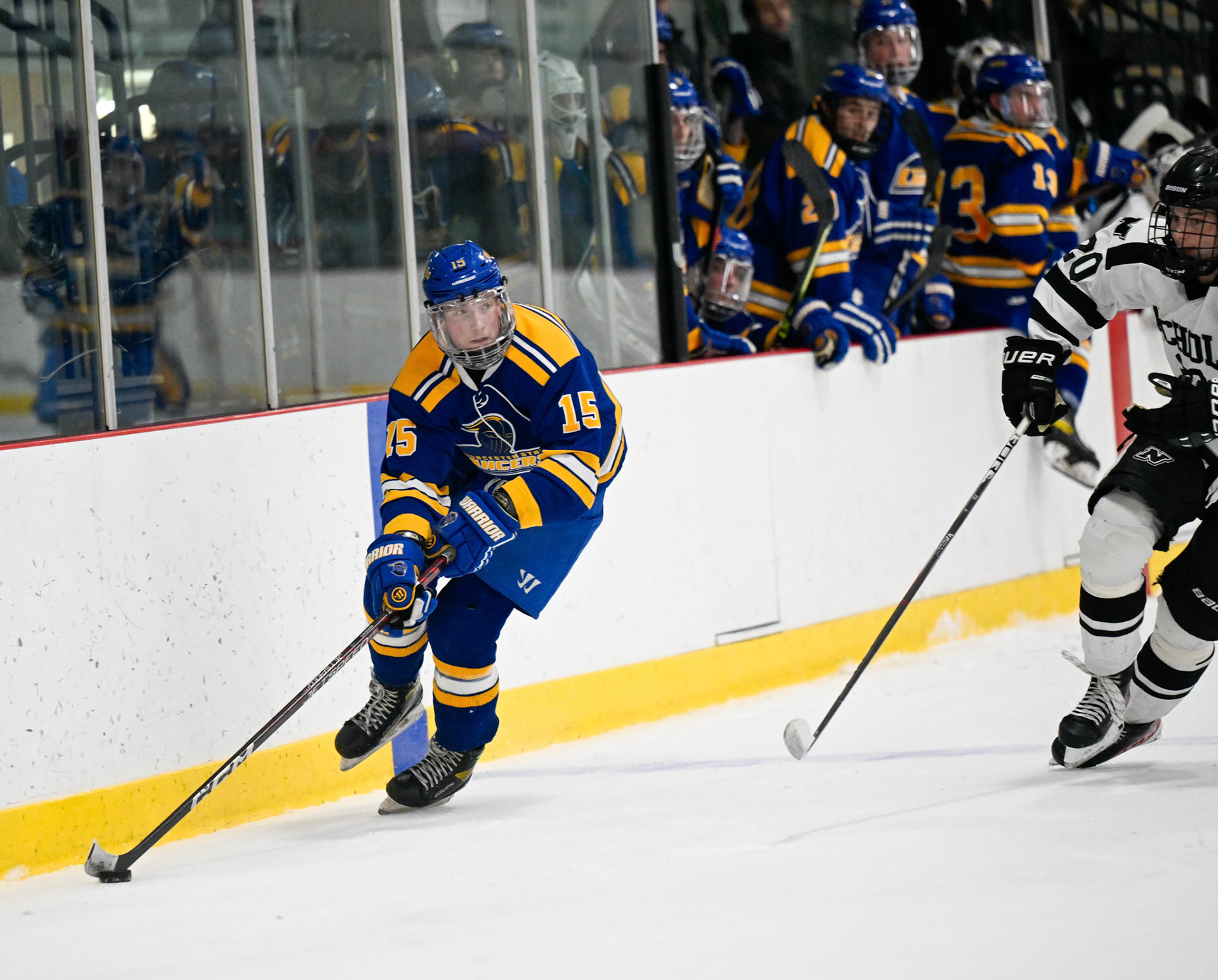 WSU Men's Ice Hockey