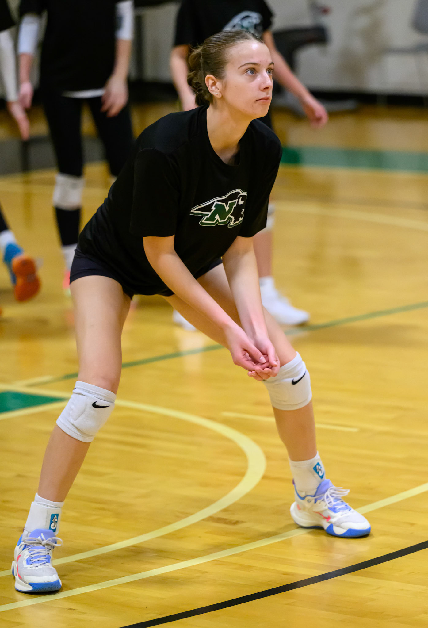 Nichols Volleyball