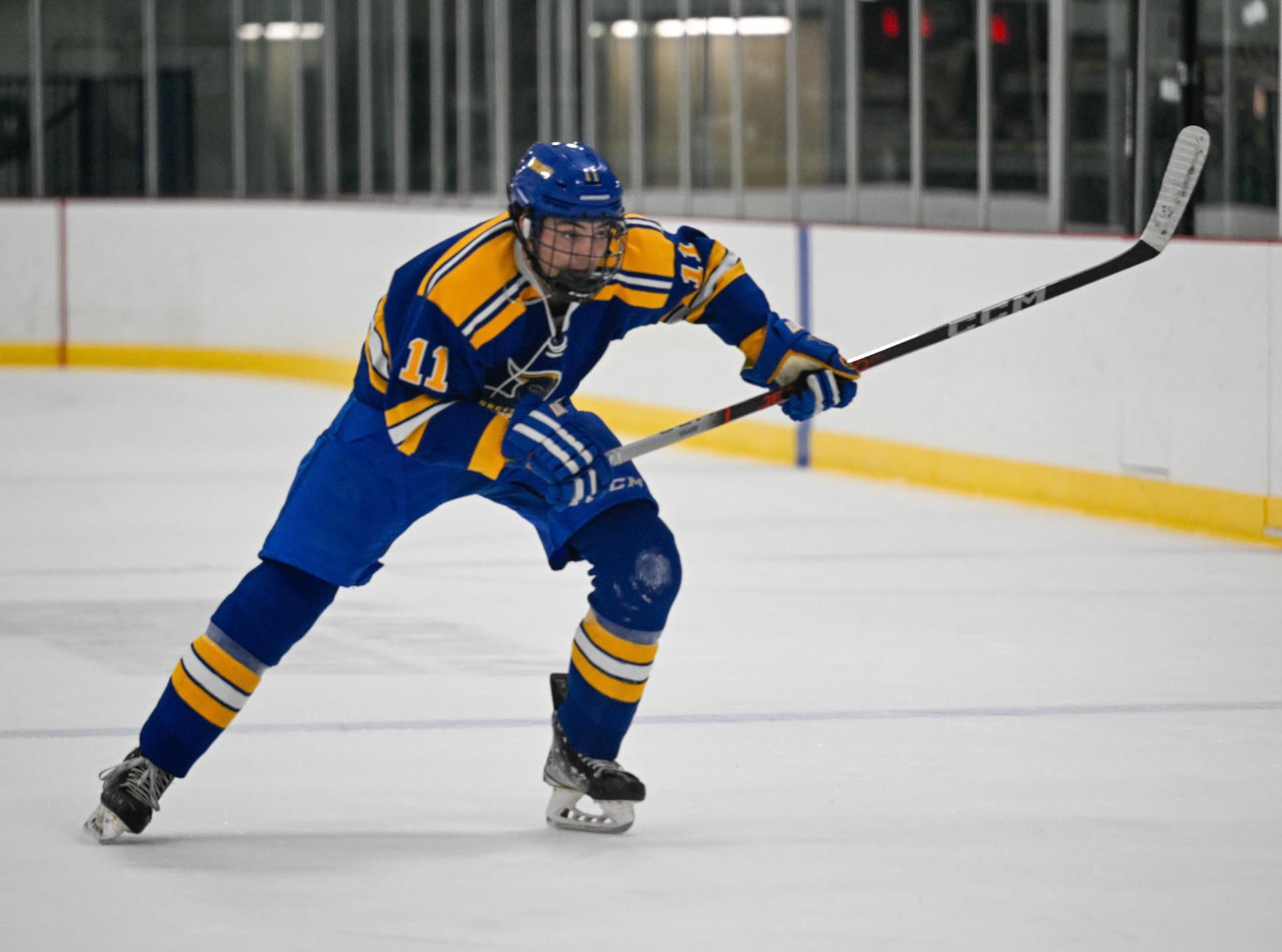 WSU Men's Ice Hockey
