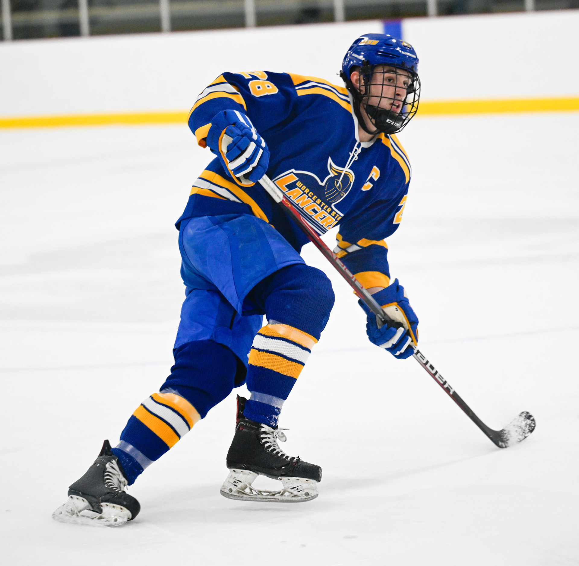 WSU Men's Ice Hockey