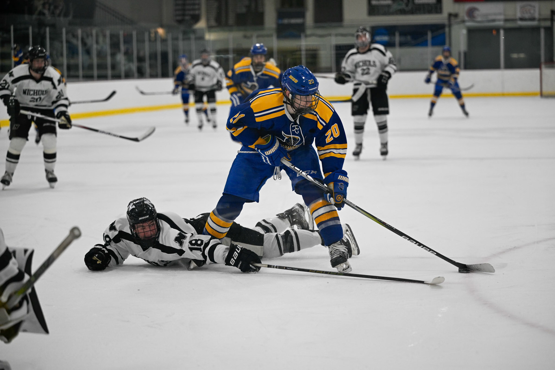 WSU Men's Ice Hockey