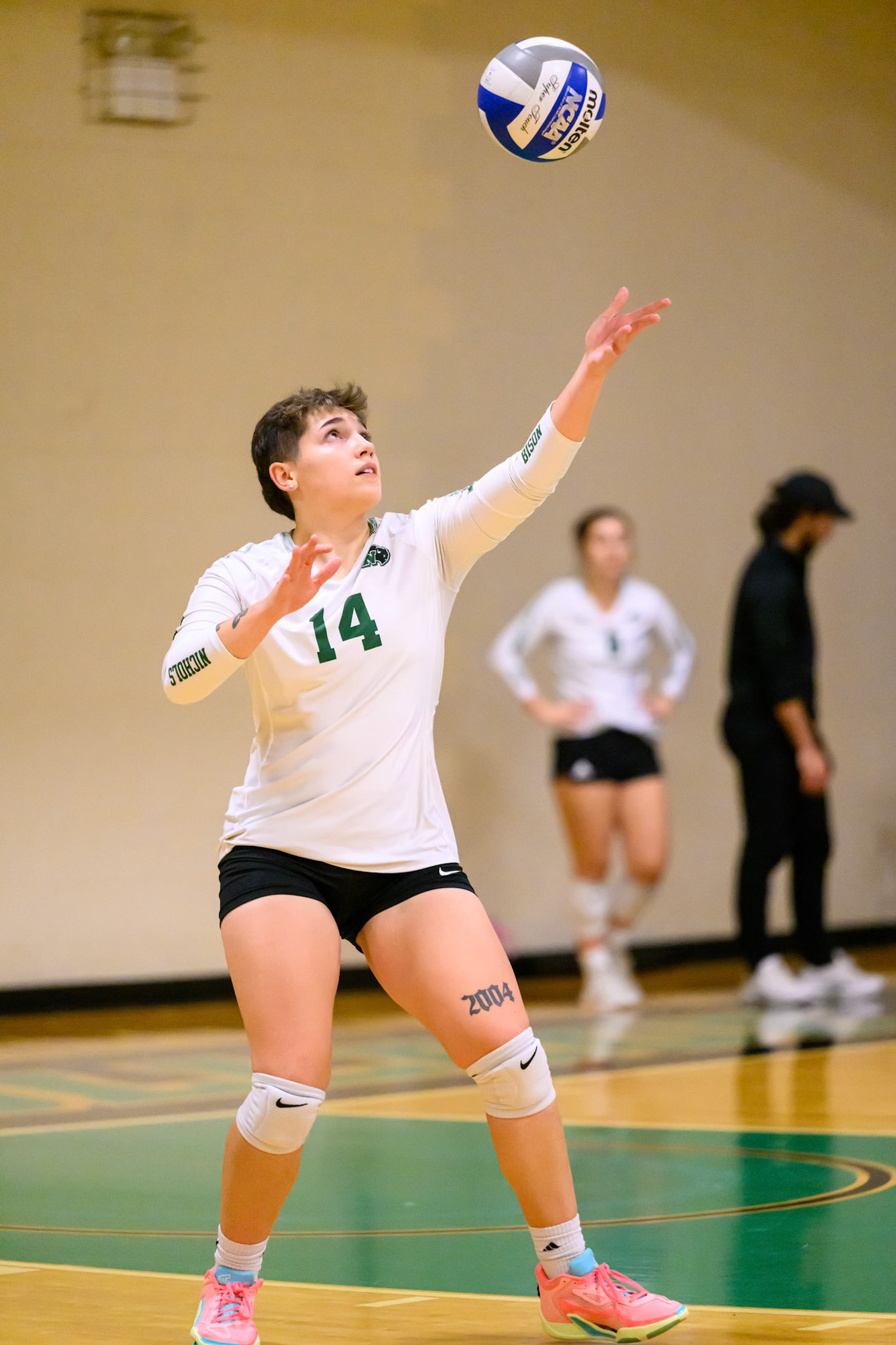 Nichols Volleyball