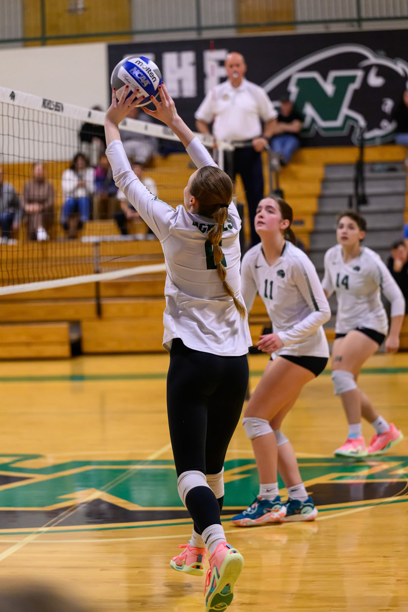 Nichols Volleyball
