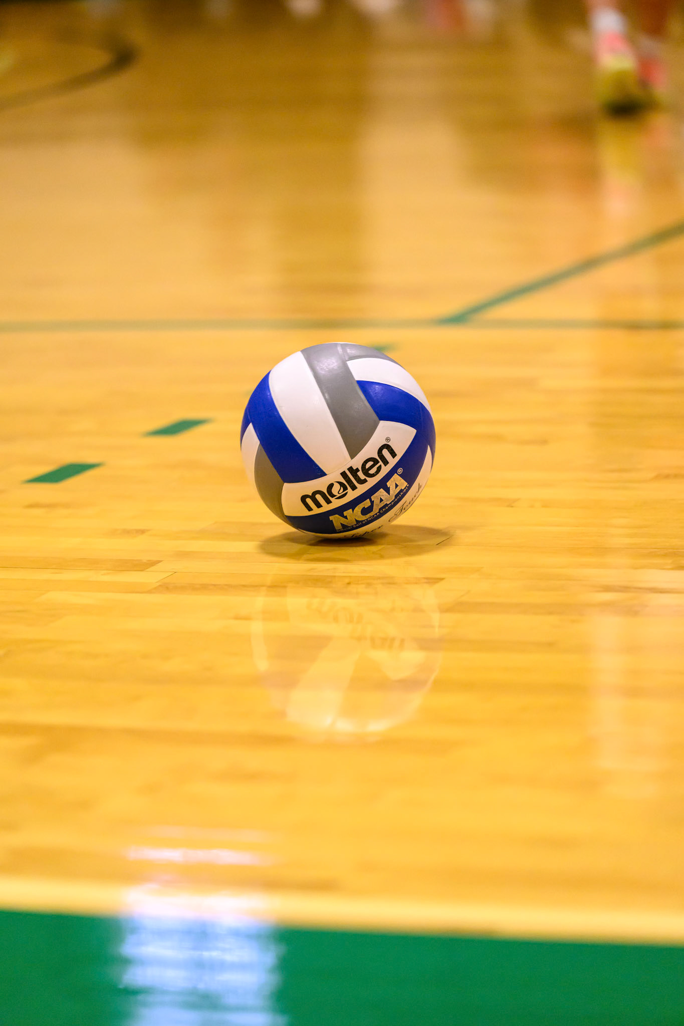 Nichols Volleyball