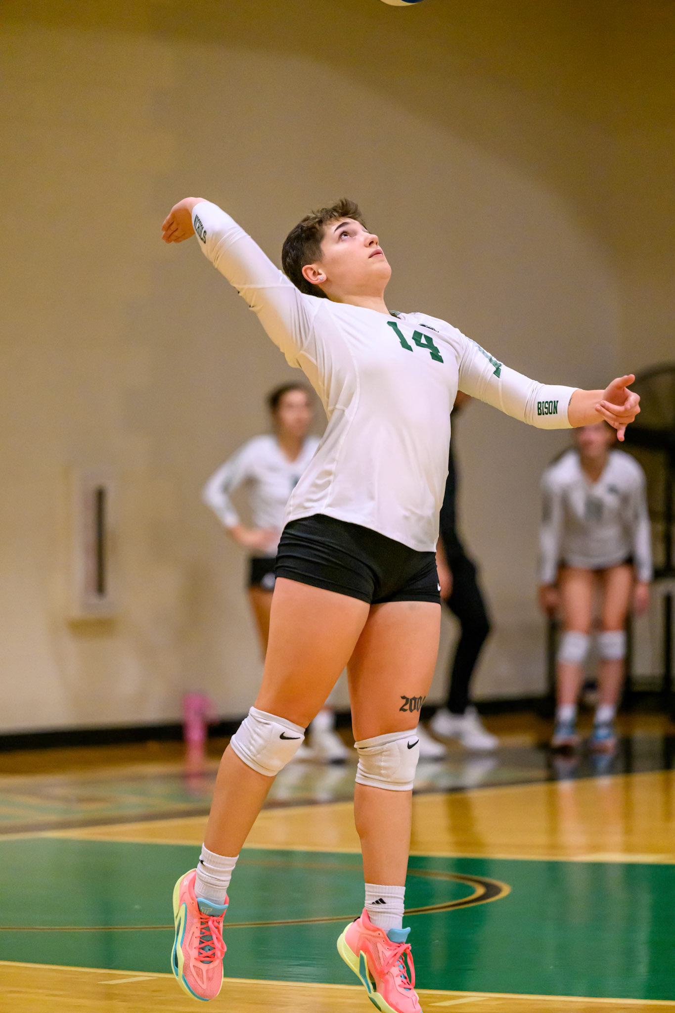Nichols Volleyball