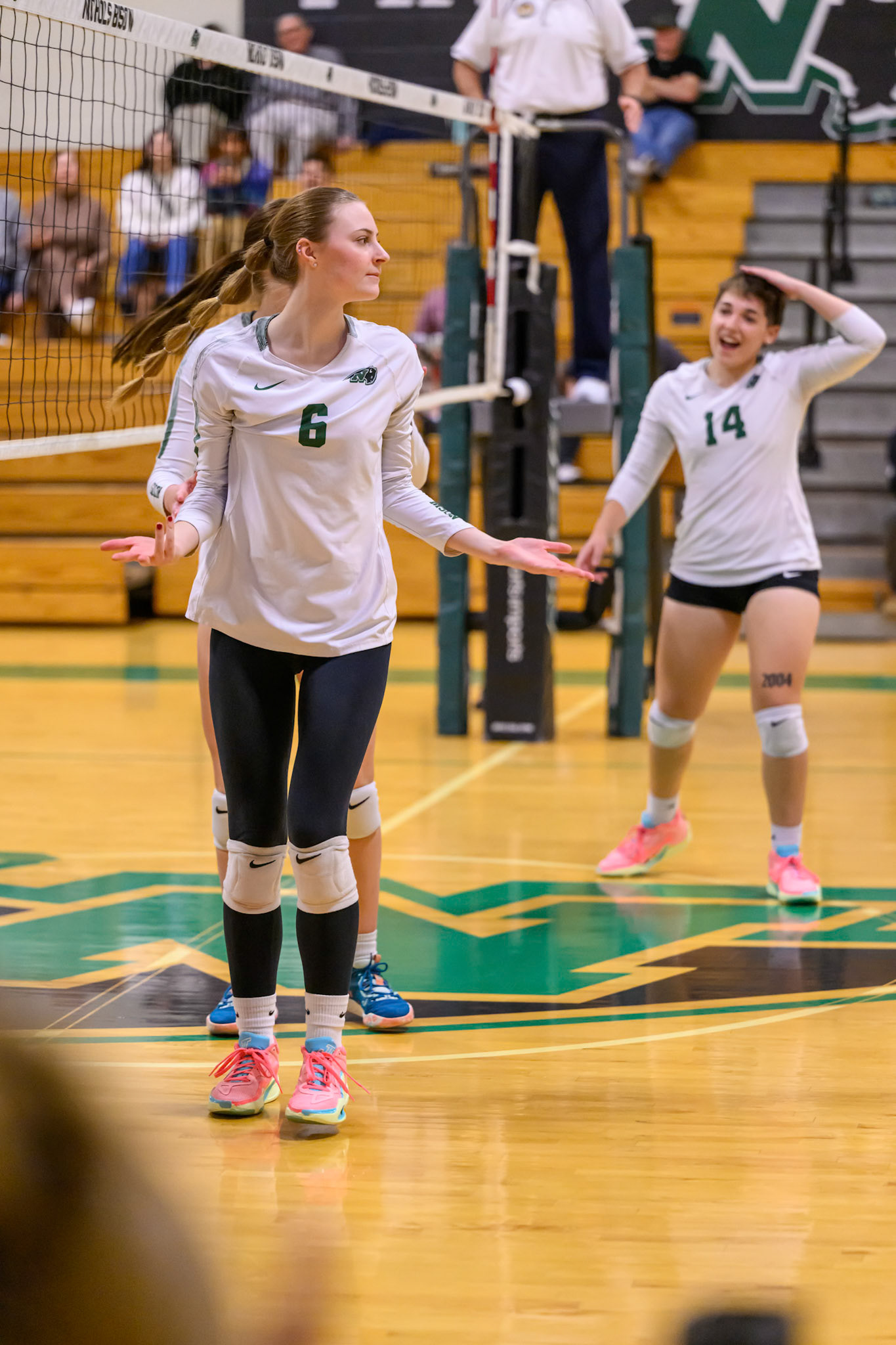 Nichols Volleyball