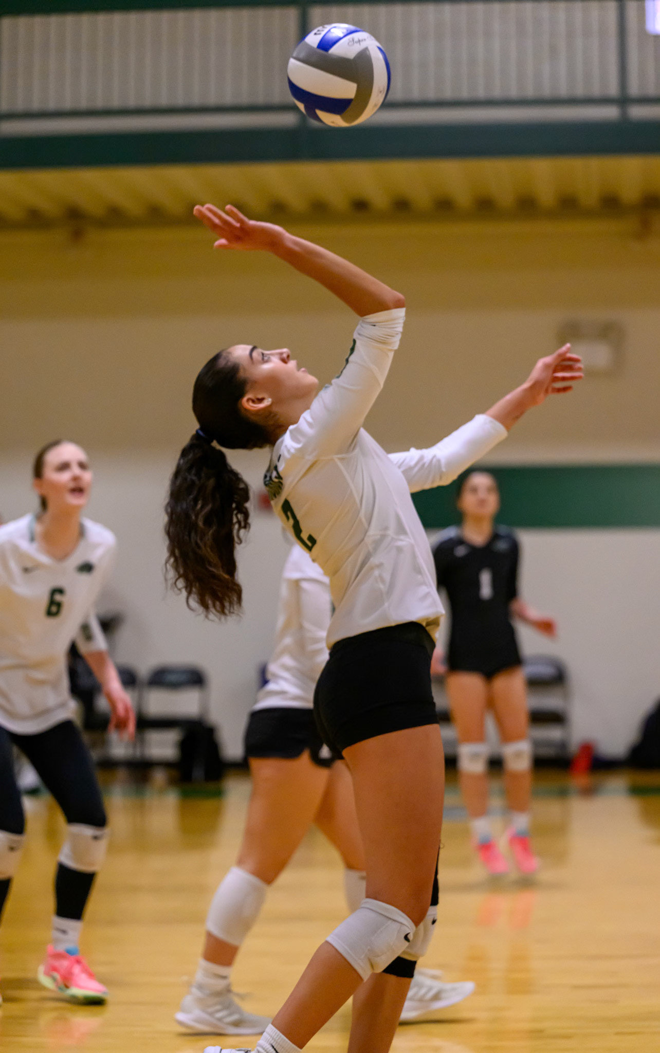Nichols Volleyball