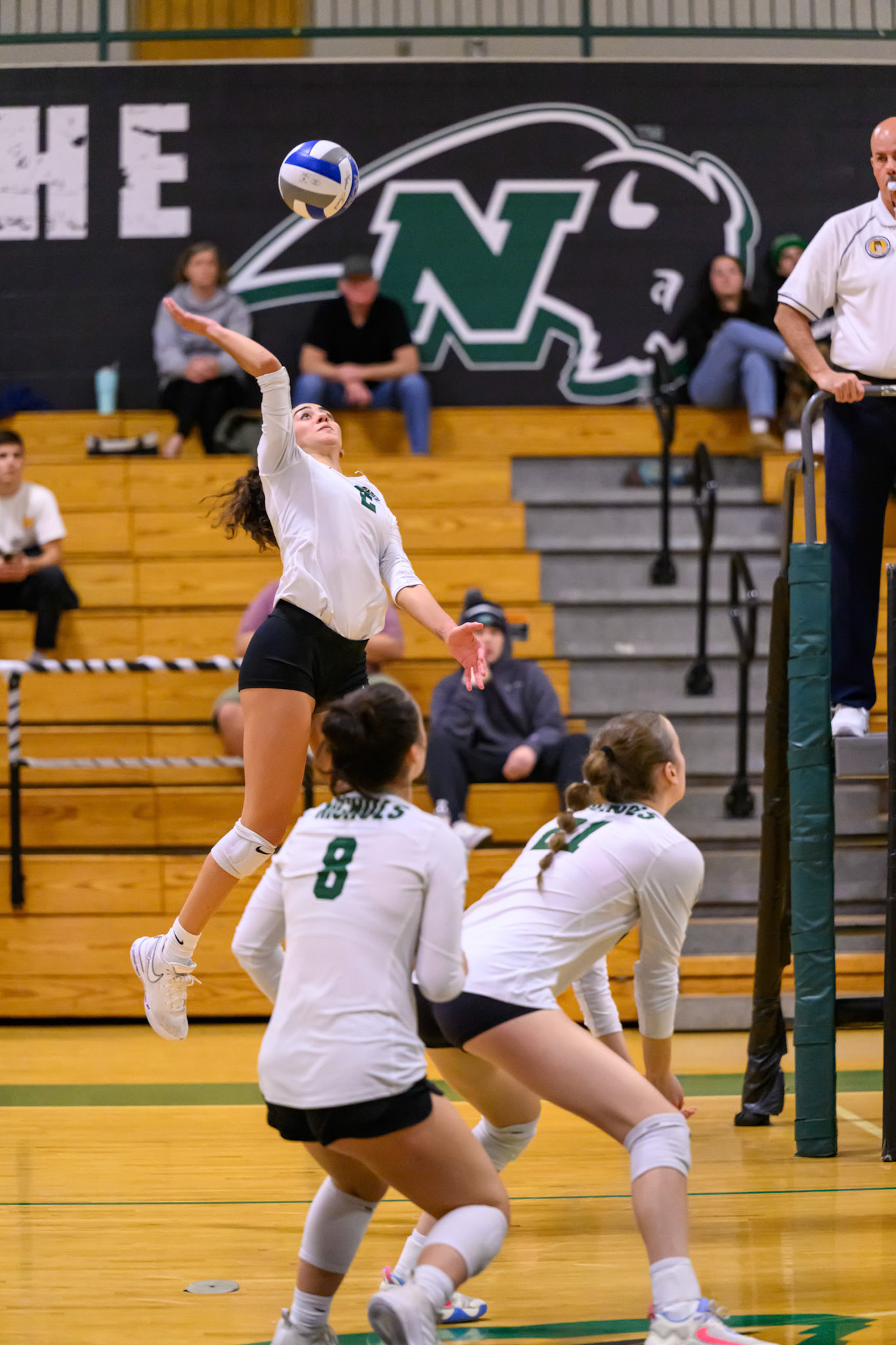 Nichols Volleyball