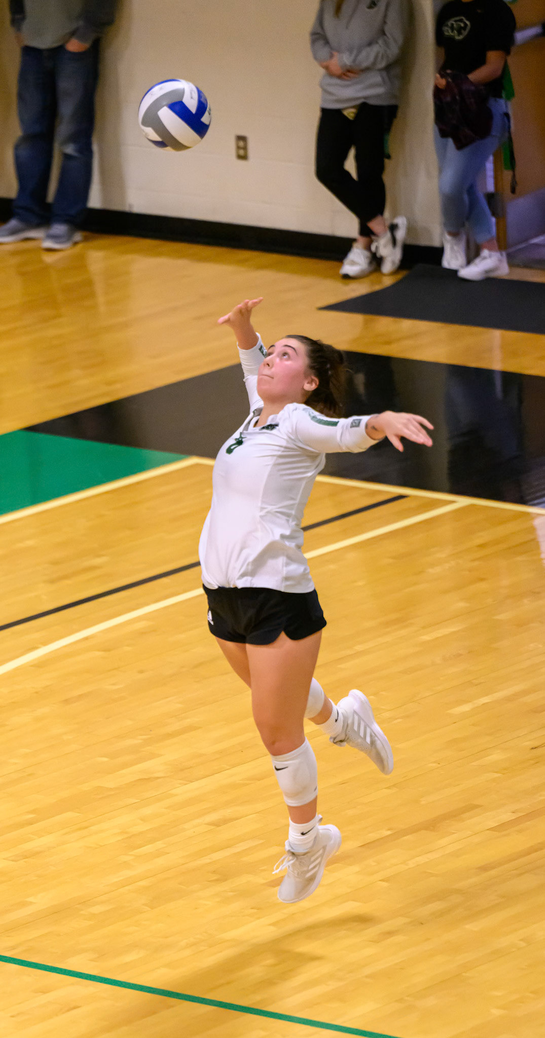Nichols Volleyball