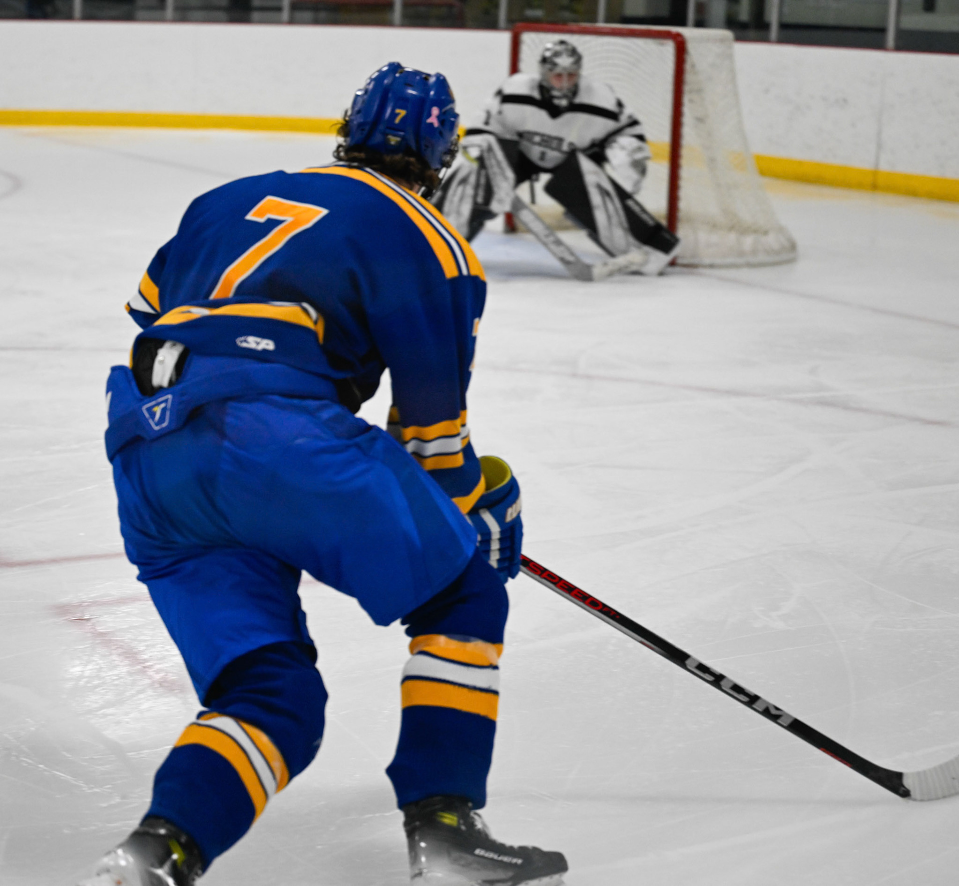 WSU Men's Ice Hockey