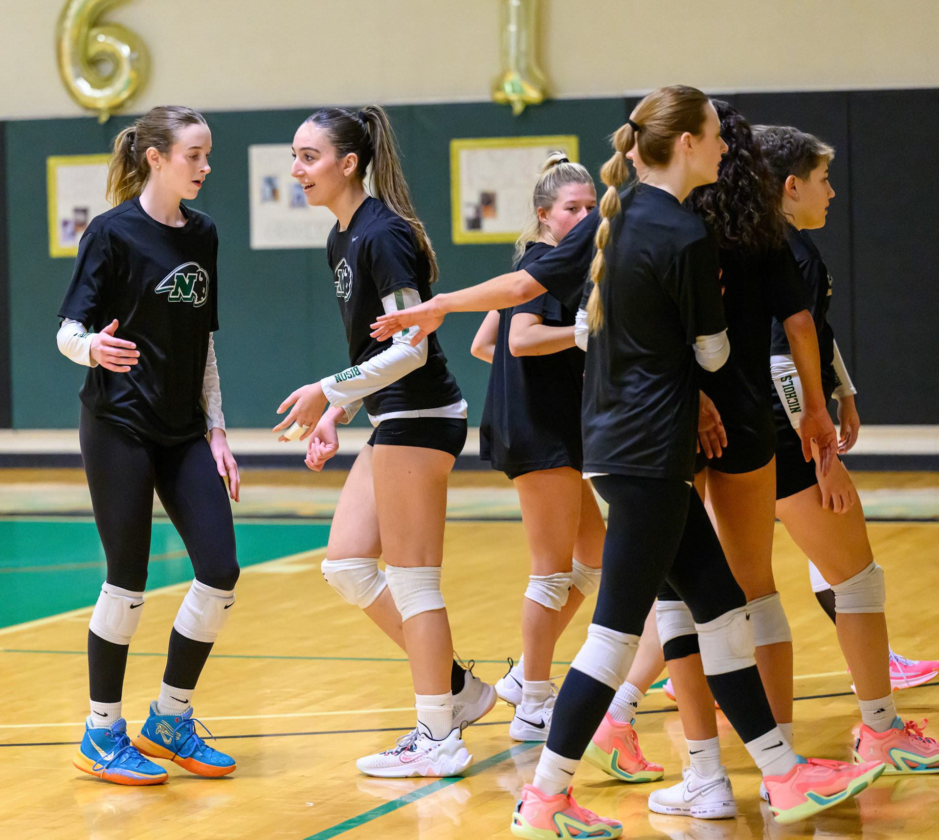 Nichols Volleyball