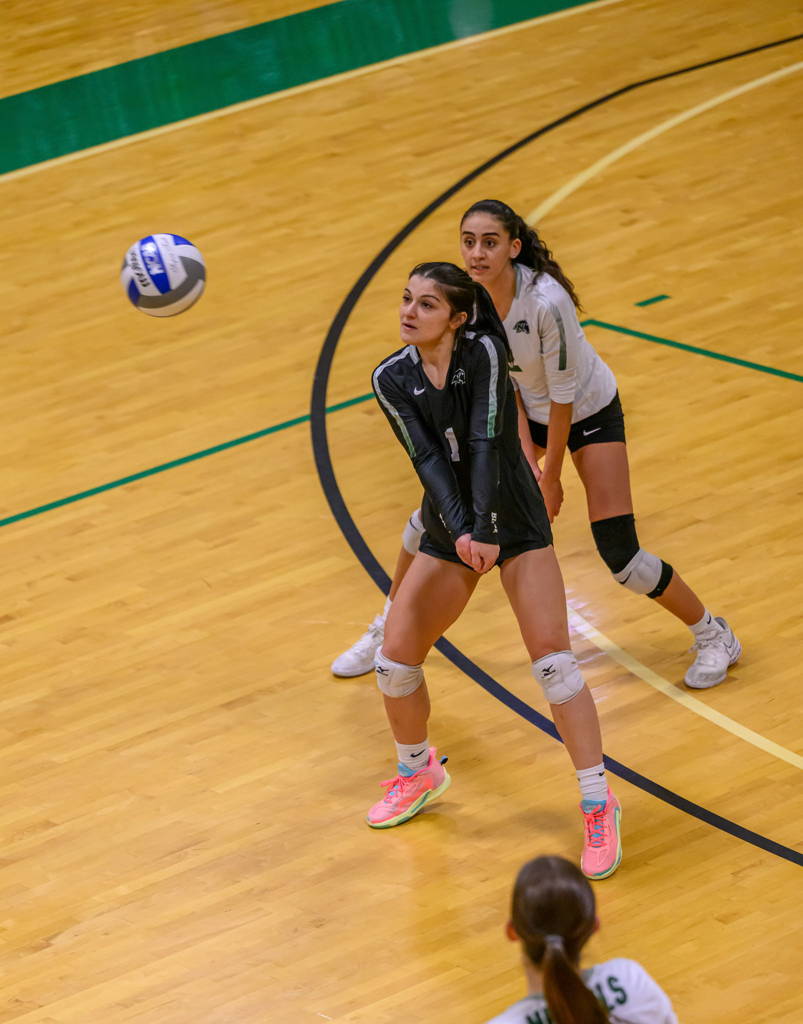 Nichols Volleyball