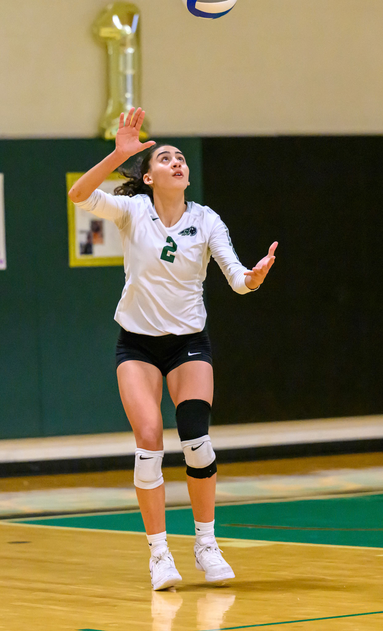 Nichols Volleyball
