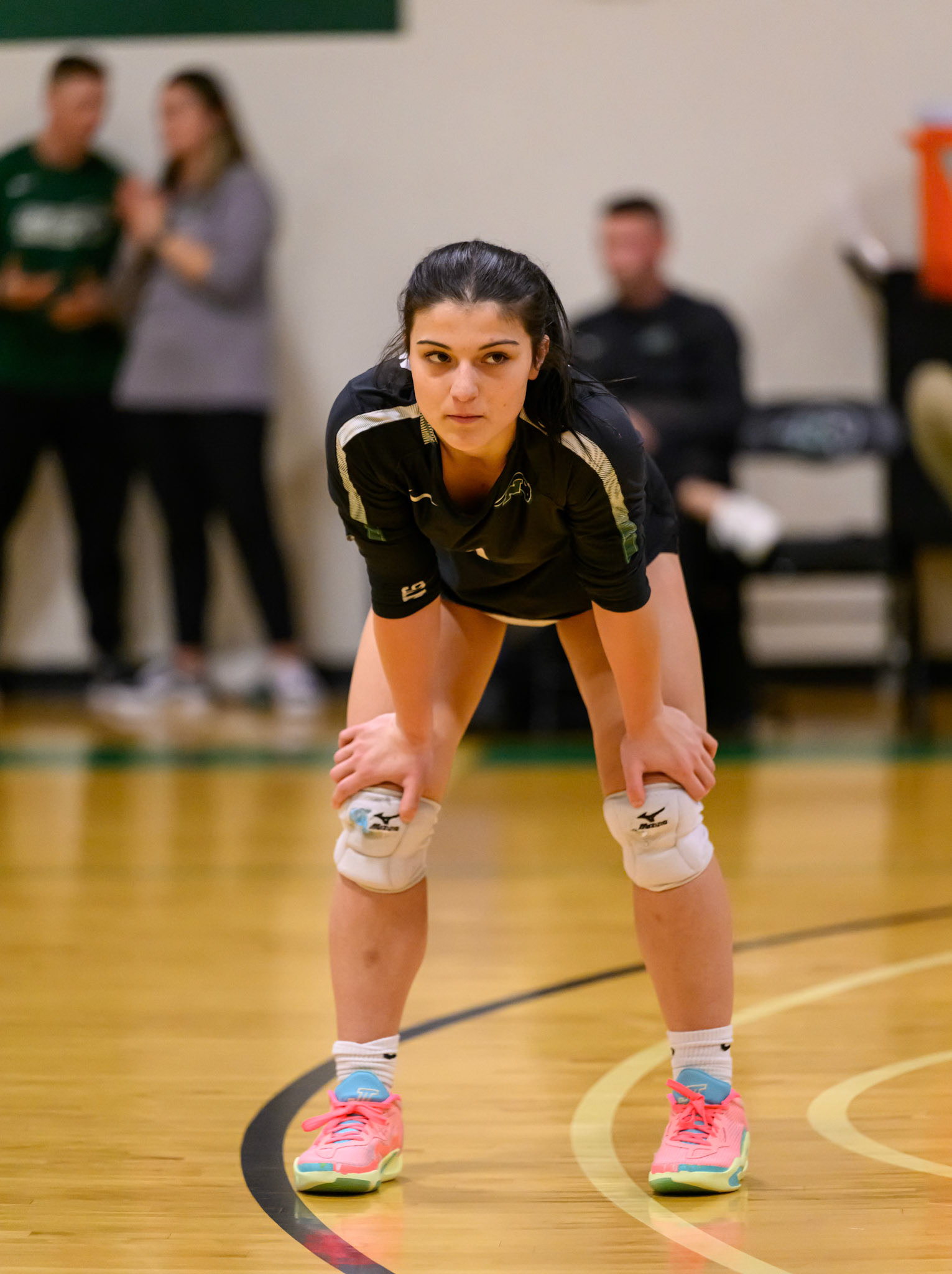 Nichols Volleyball