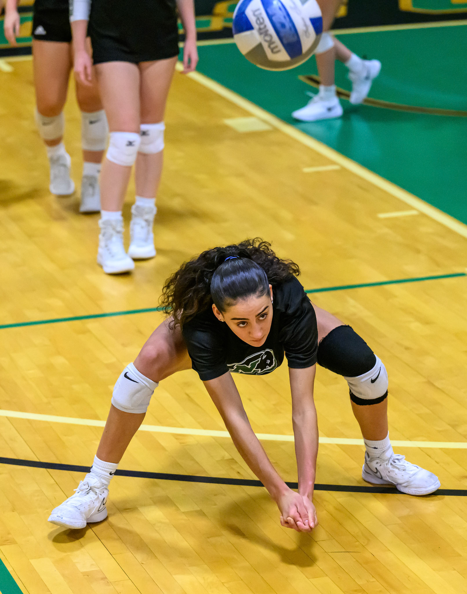 Nichols Volleyball