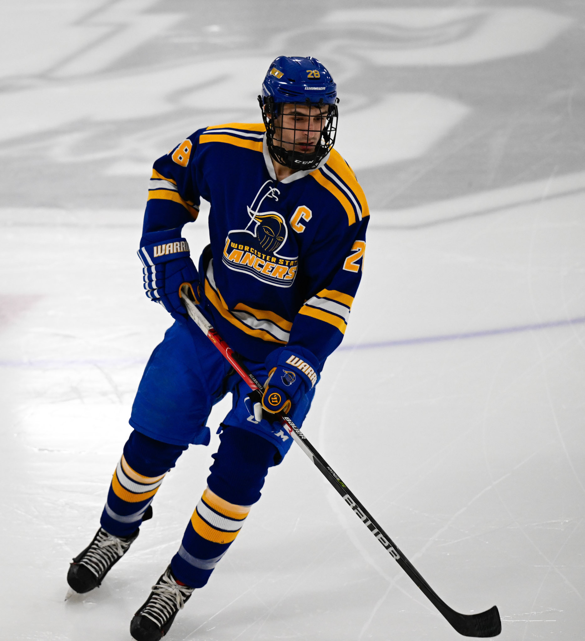 WSU Men's Ice Hockey