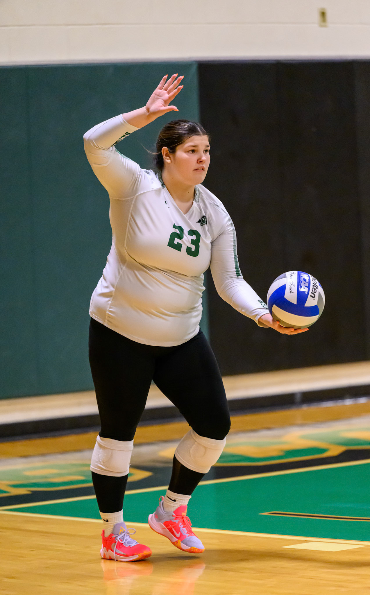 Nichols Volleyball