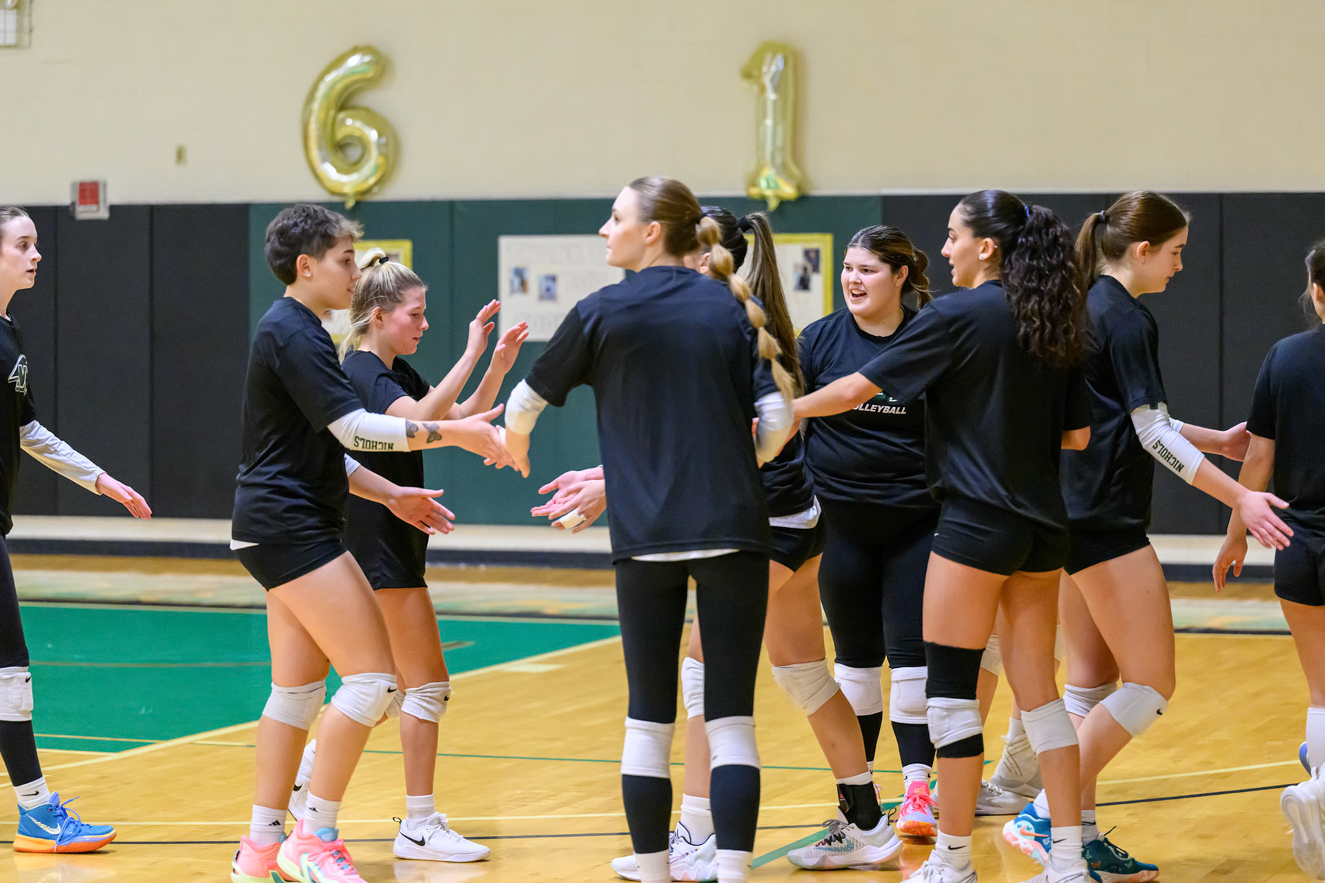 Nichols Volleyball
