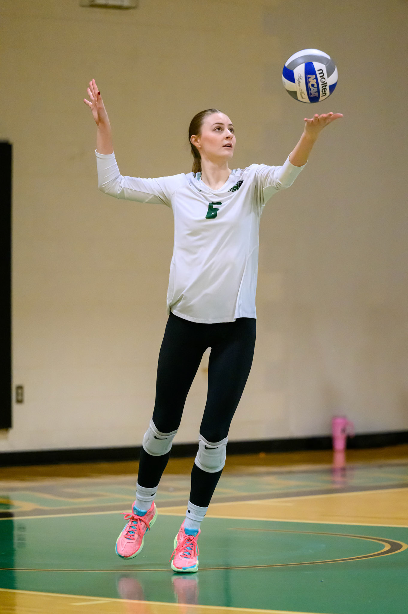 Nichols Volleyball