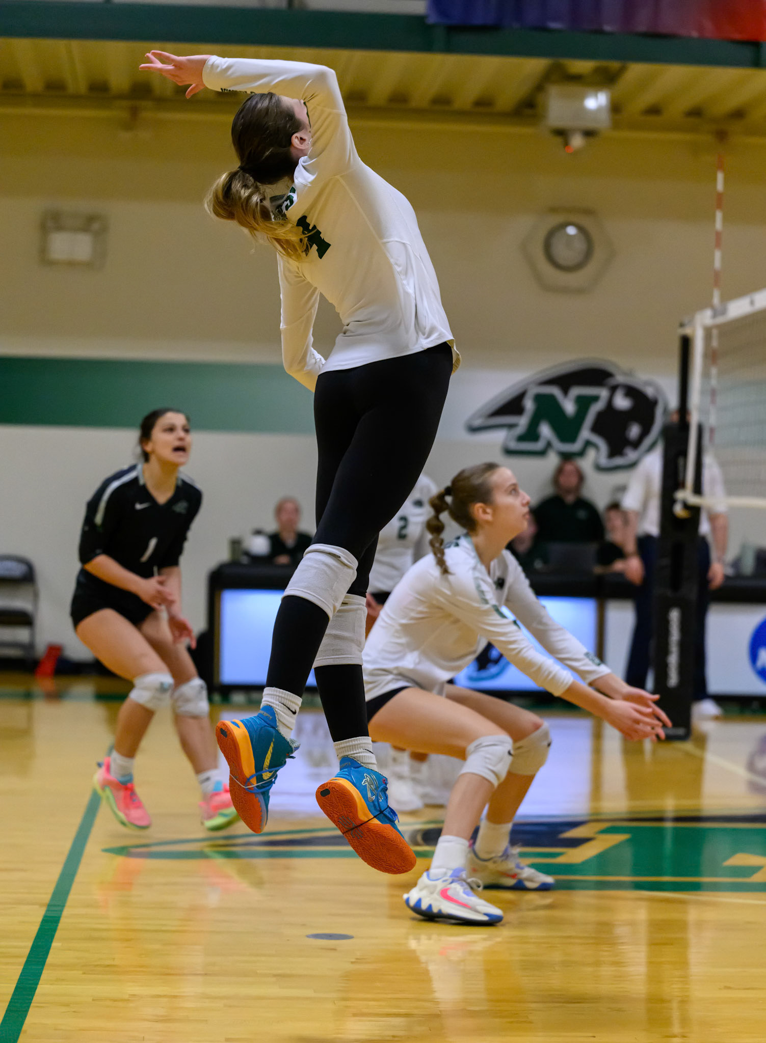 Nichols Volleyball