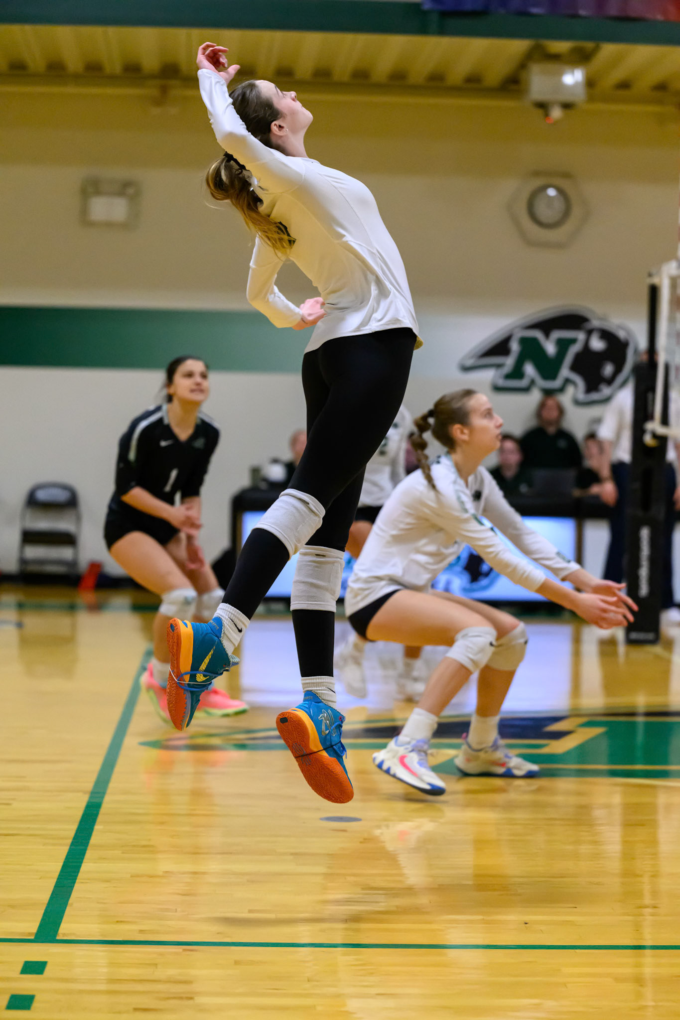 Nichols Volleyball