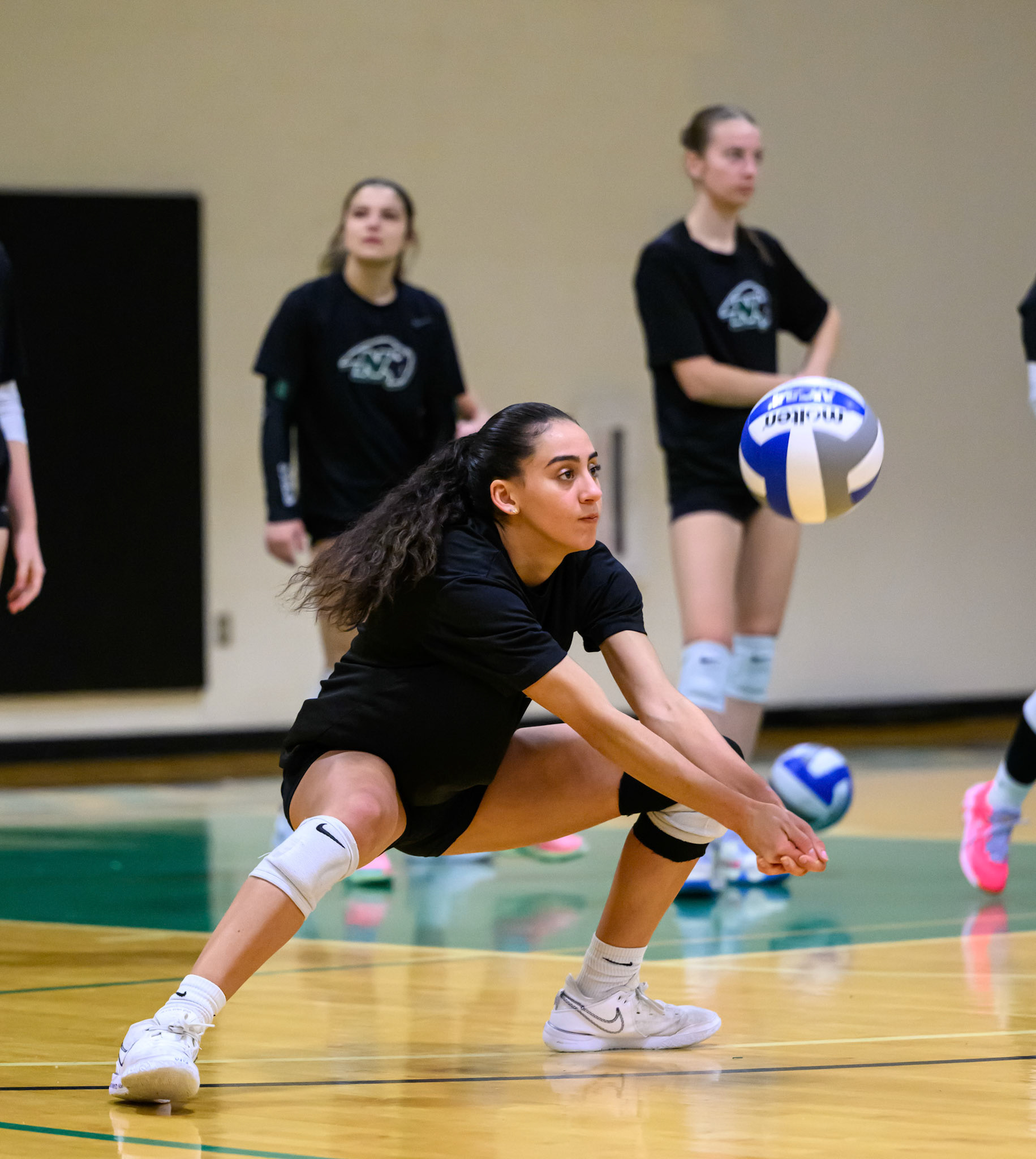 Nichols Volleyball