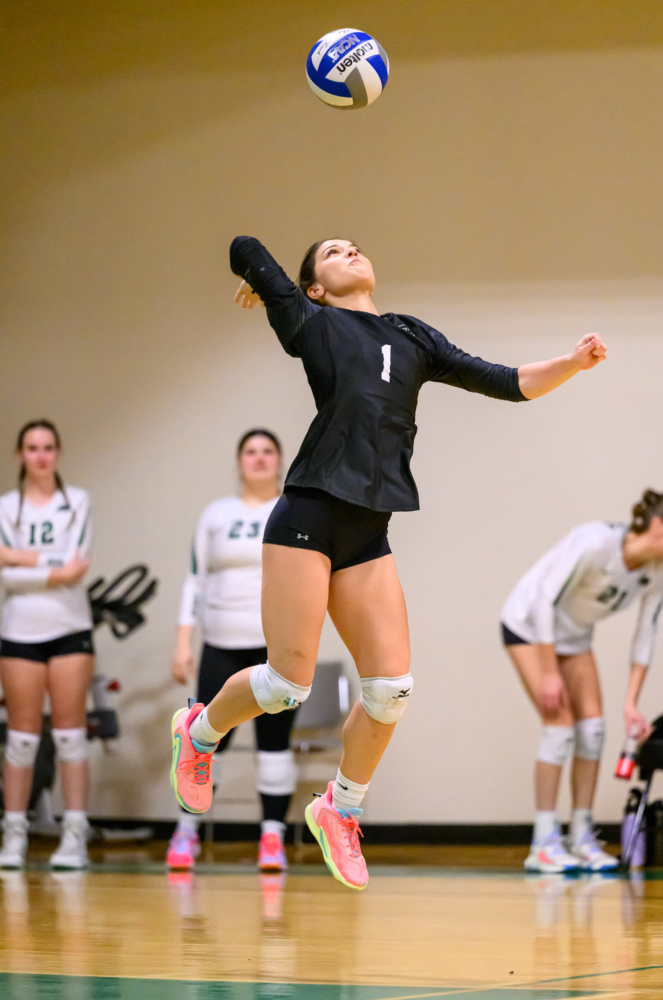 Nichols Volleyball