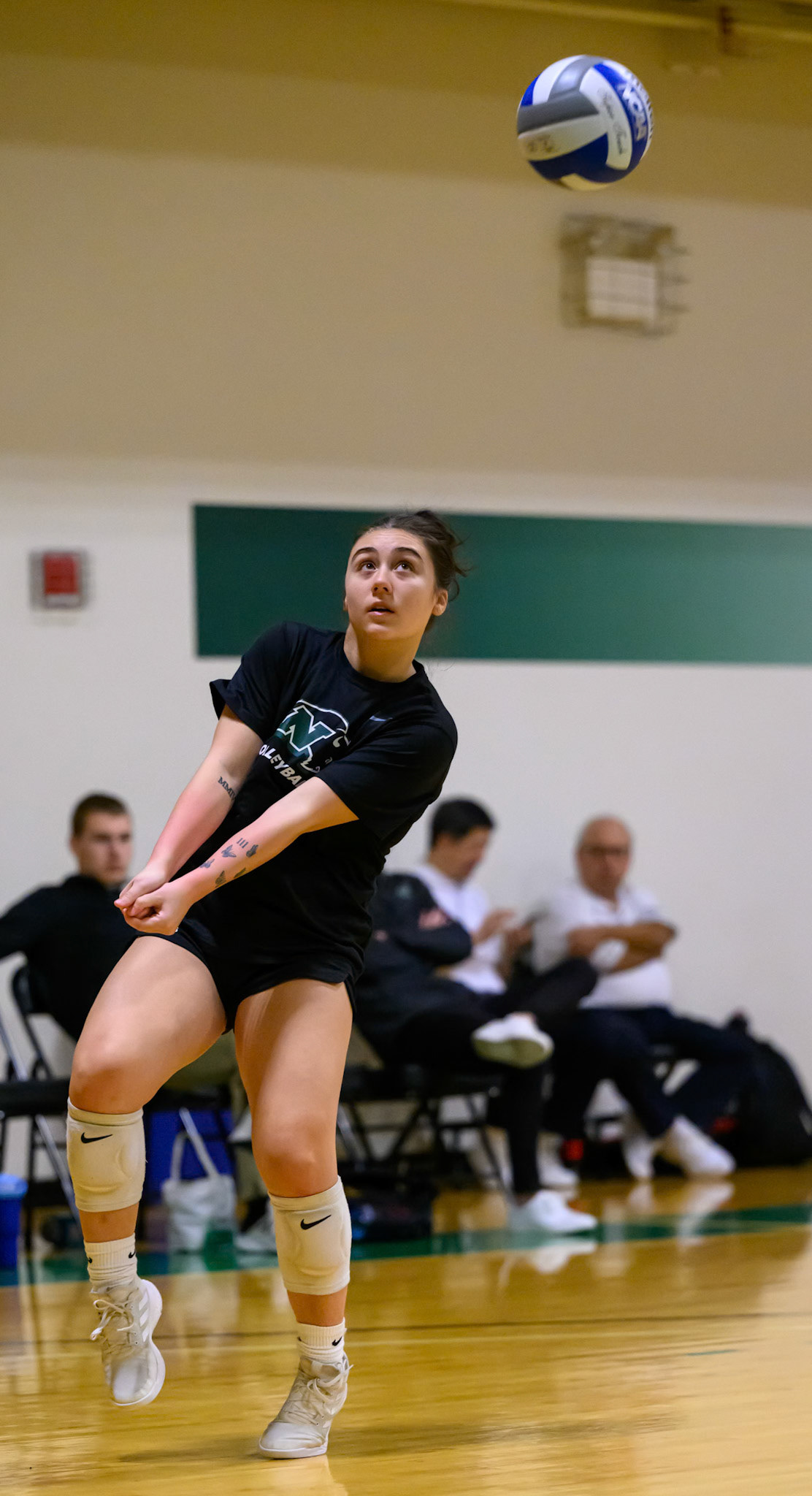 Nichols Volleyball