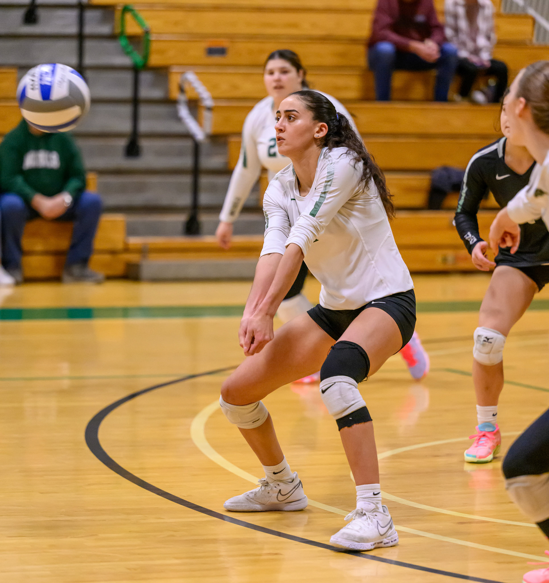 Nichols Volleyball