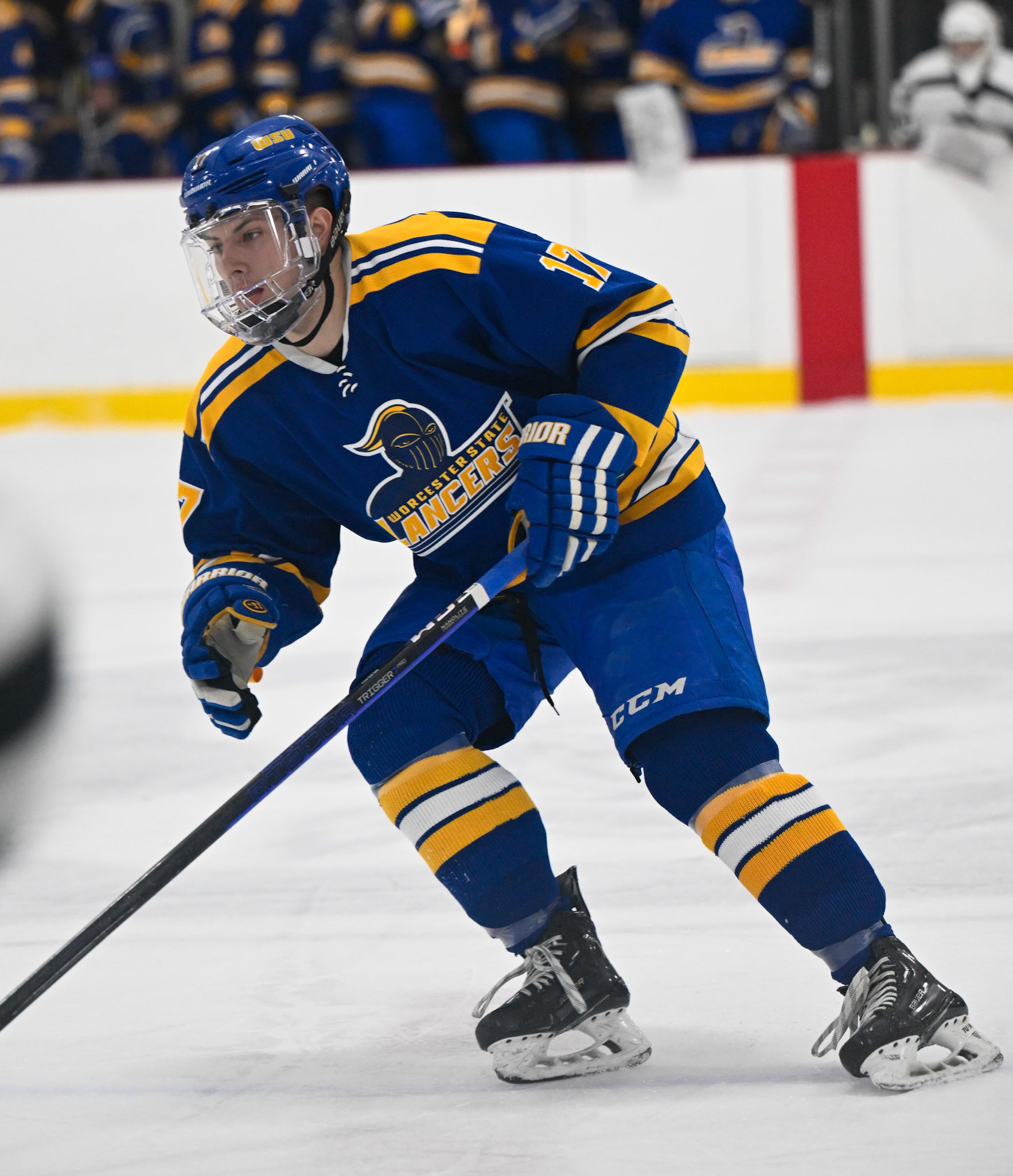 WSU Men's Ice Hockey