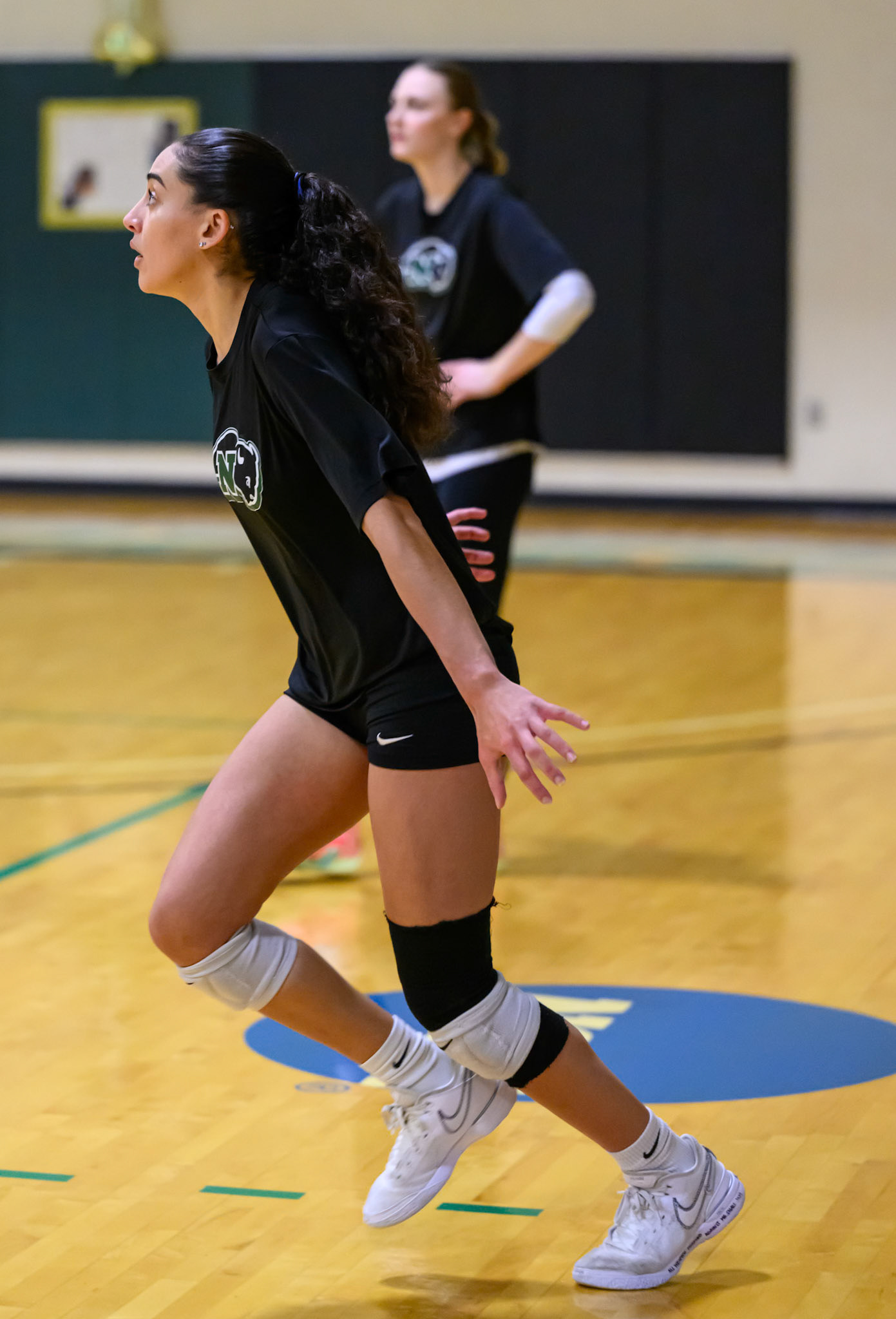 Nichols Volleyball