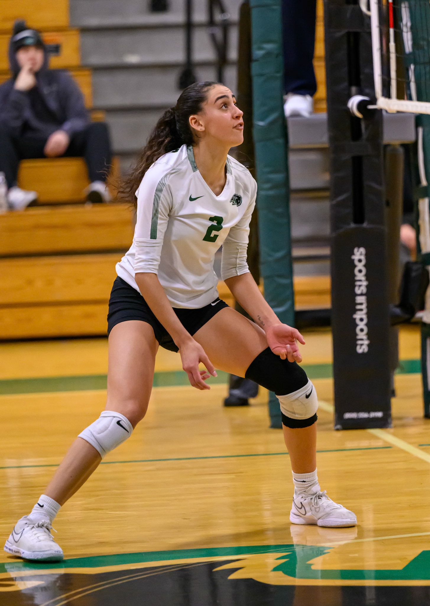 Nichols Volleyball