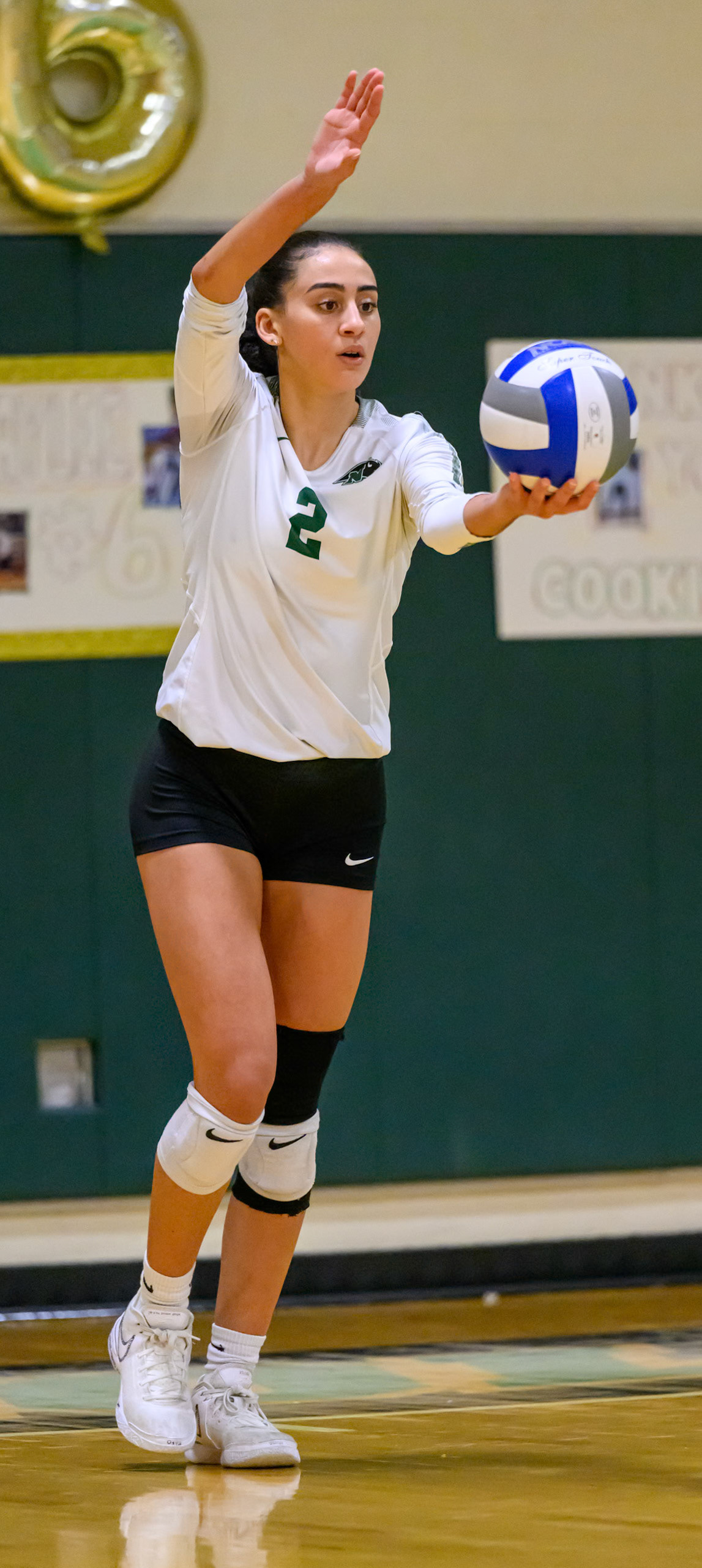 Nichols Volleyball