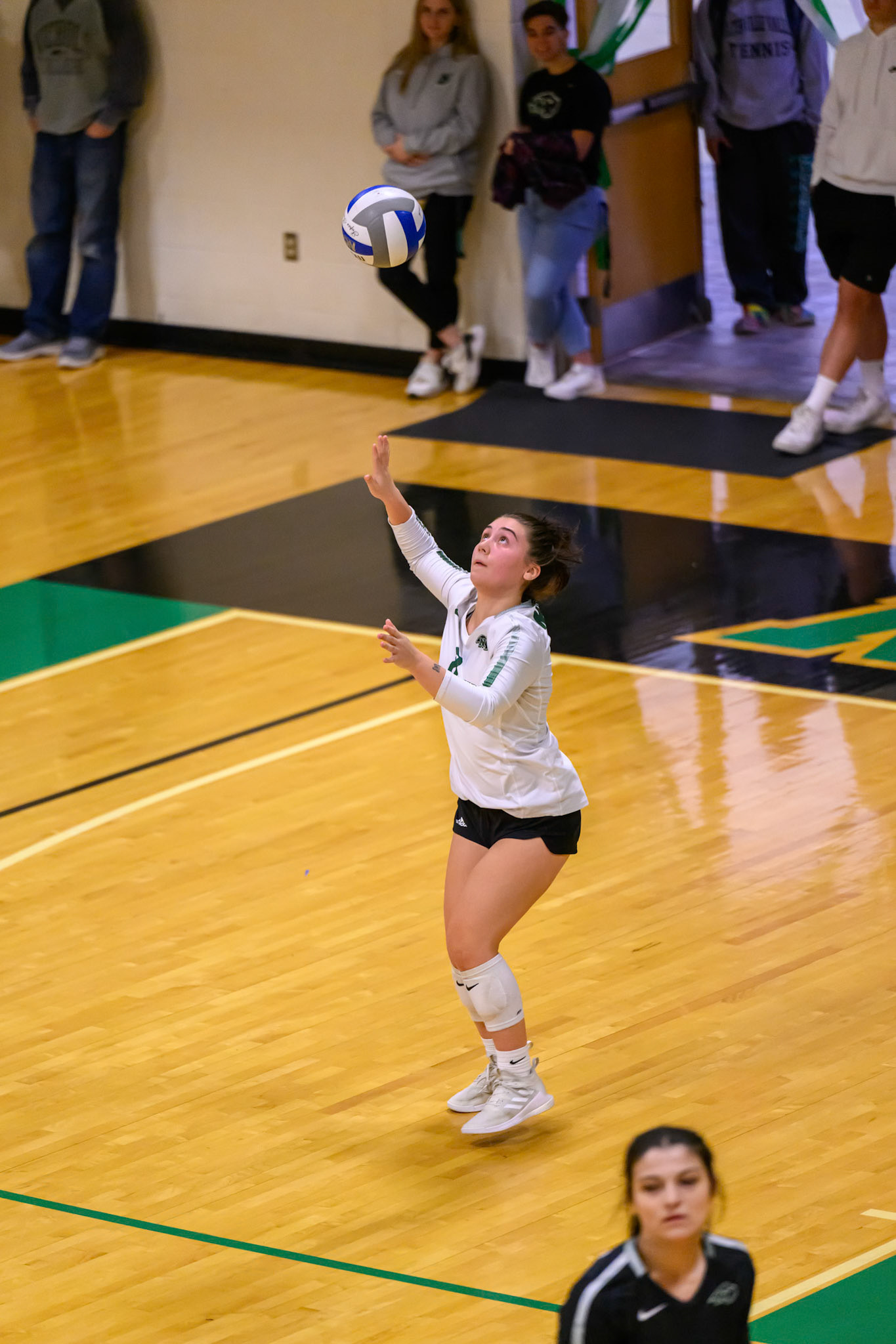 Nichols Volleyball