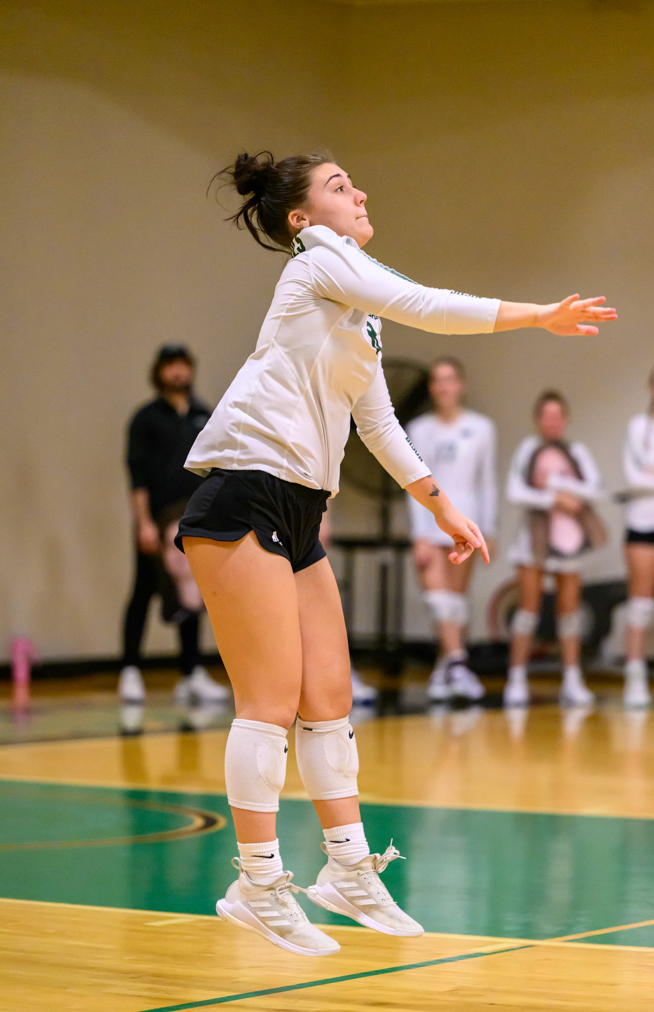 Nichols Volleyball