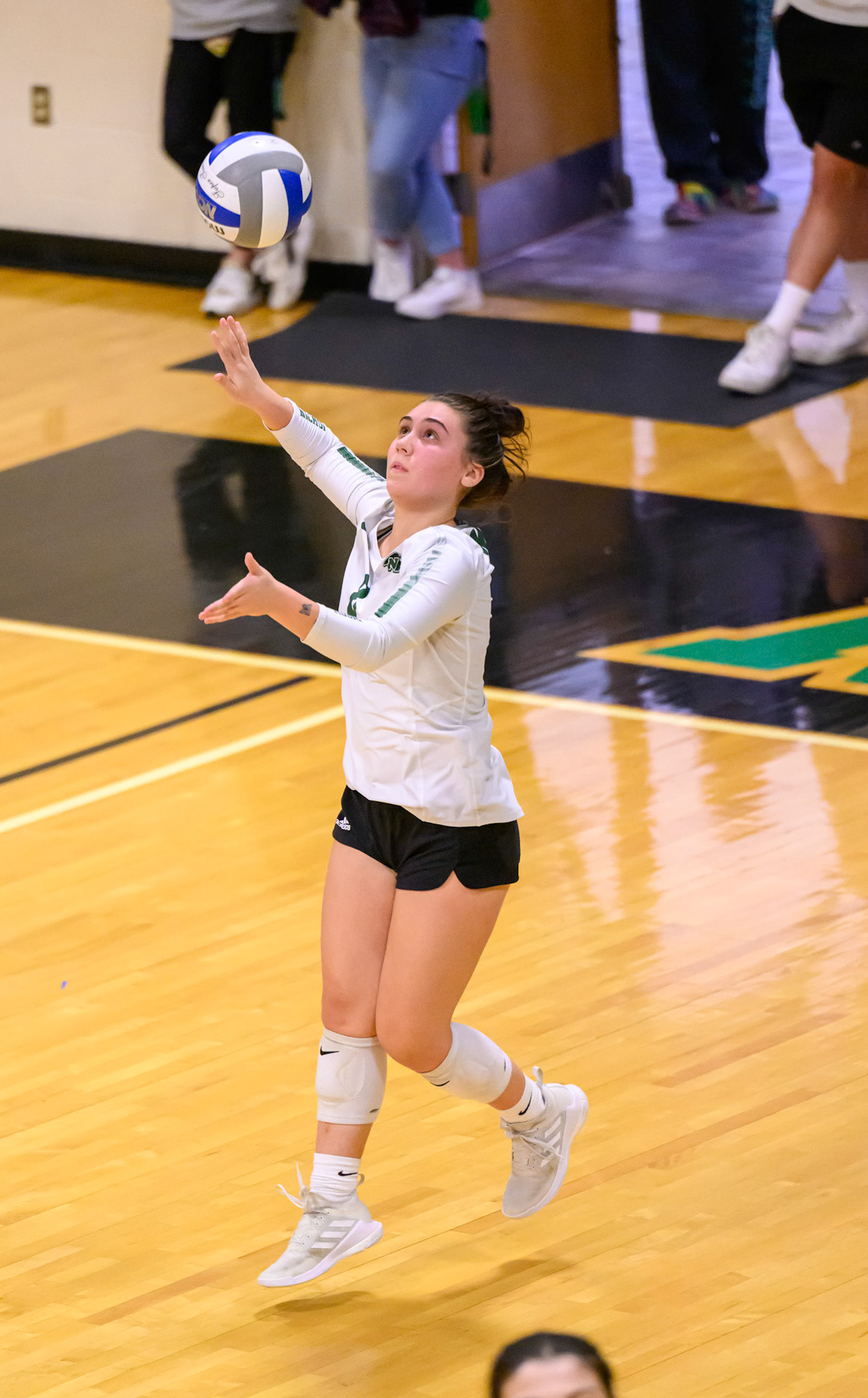 Nichols Volleyball