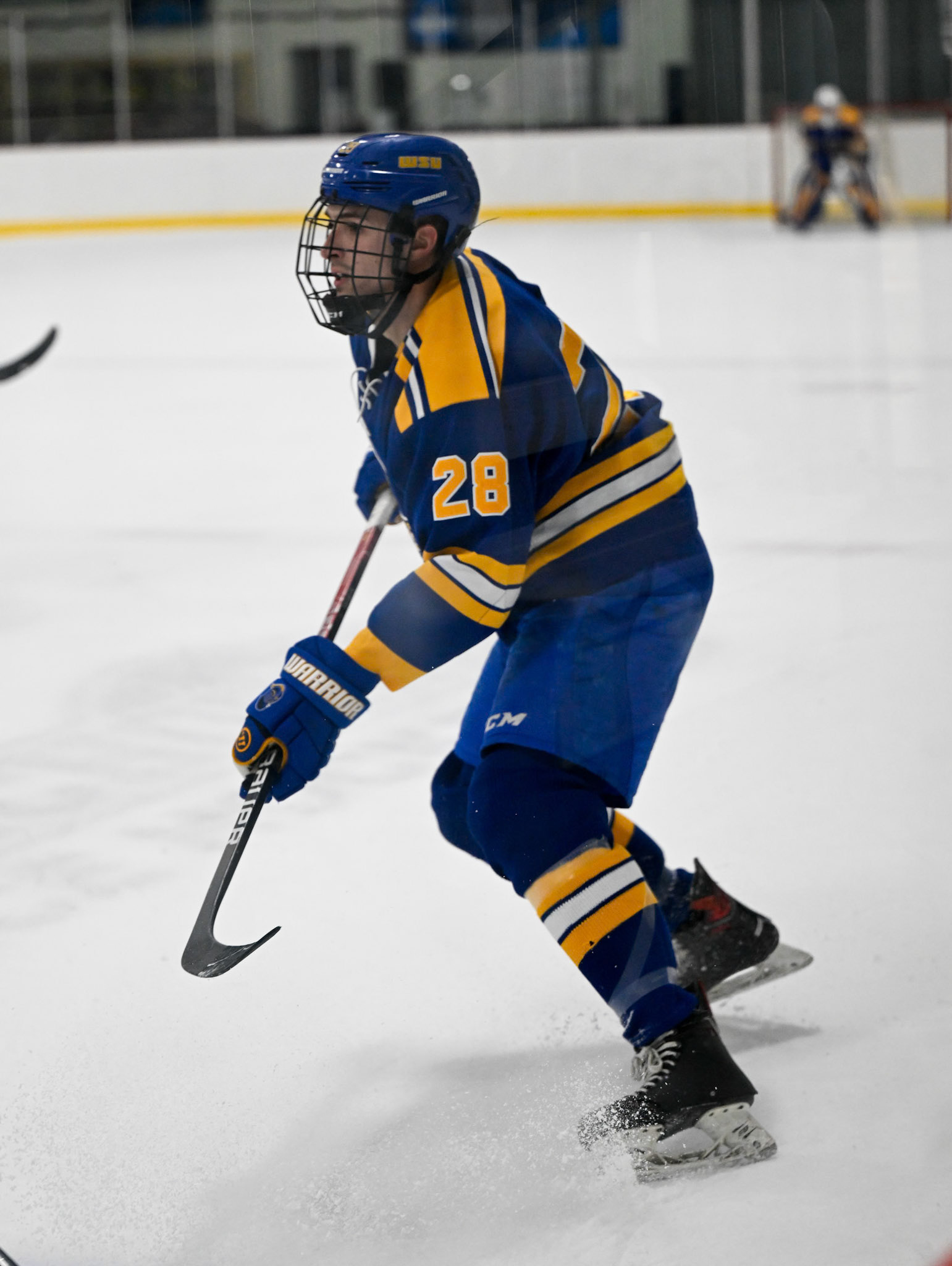 WSU Men's Ice Hockey