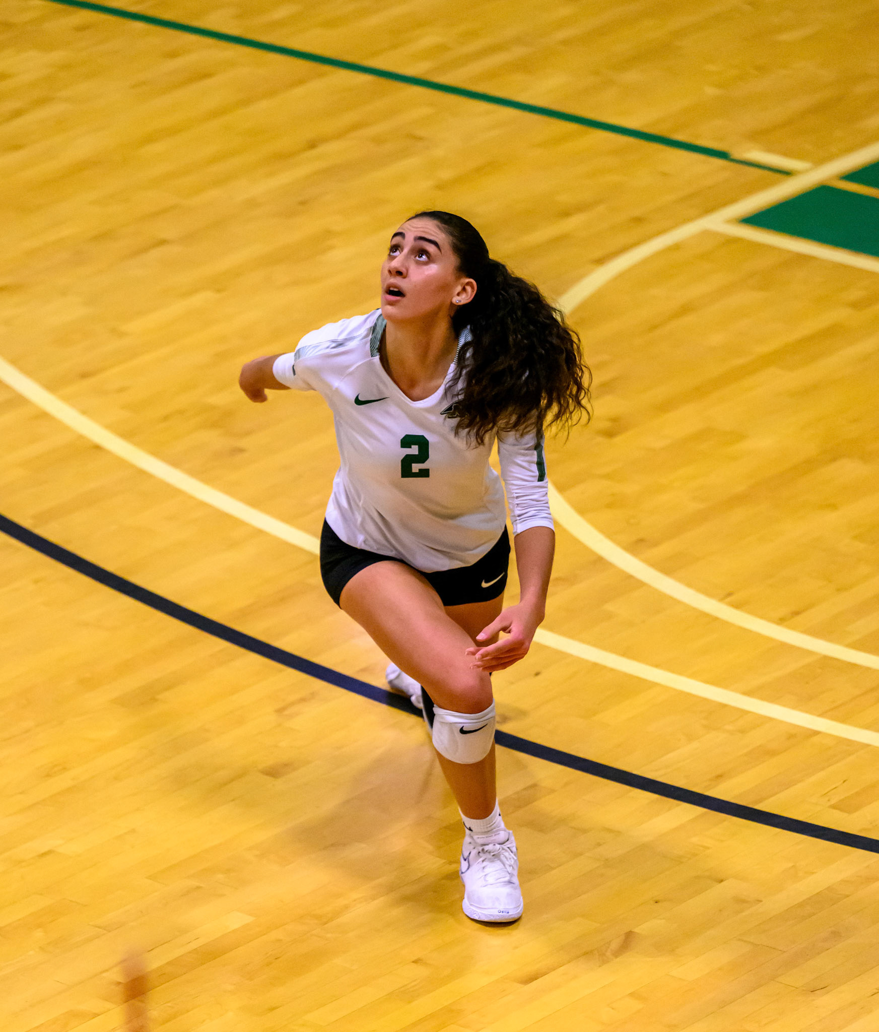 Nichols Volleyball