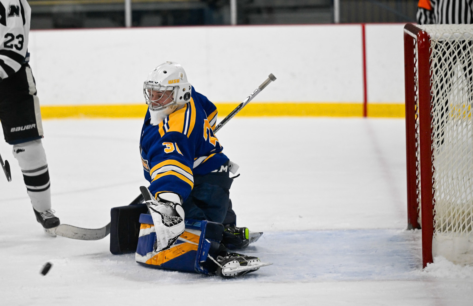 WSU Men's Ice Hockey