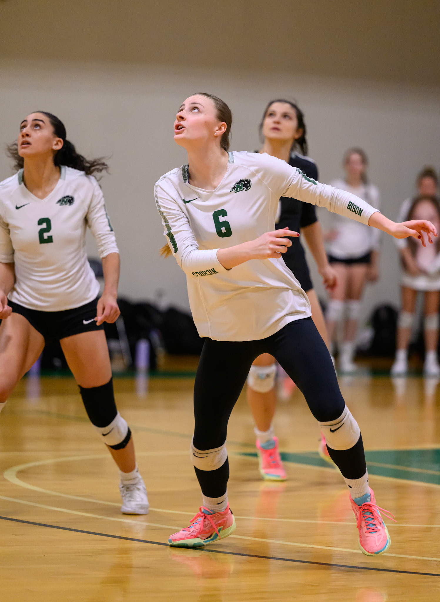 Nichols Volleyball