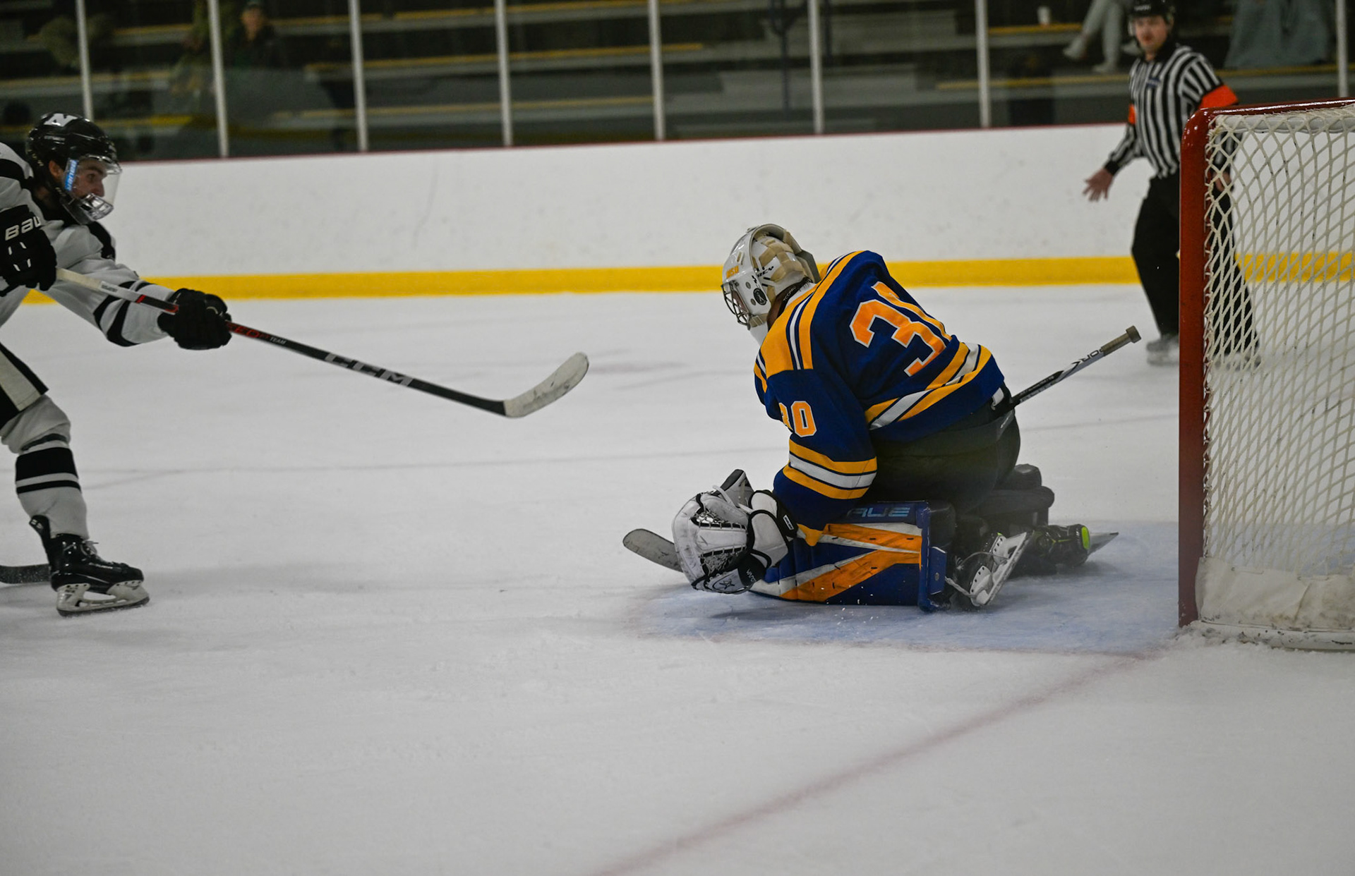WSU Men's Ice Hockey
